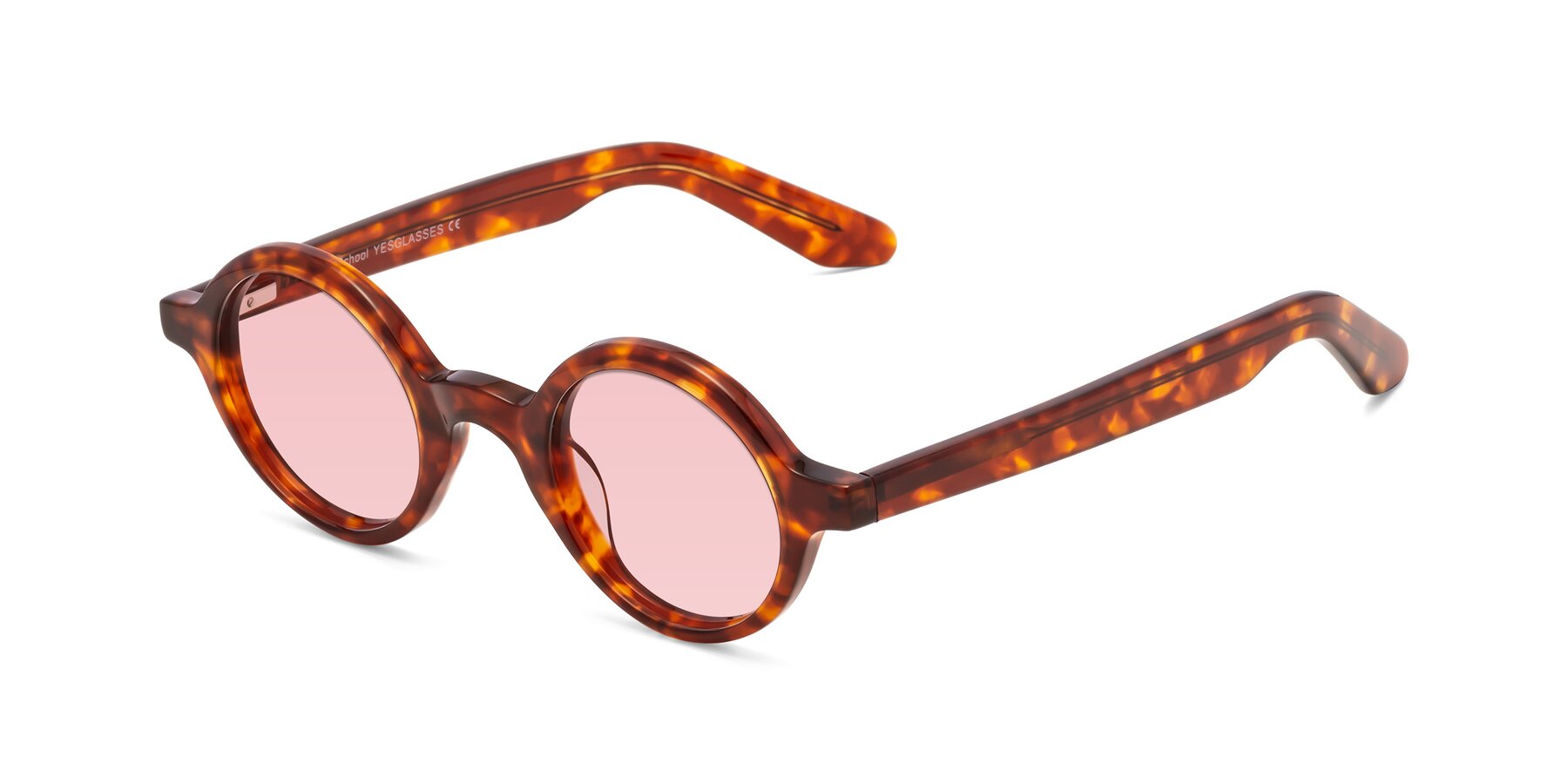 Angle of School in Tortoise with Light Garnet Tinted Lenses