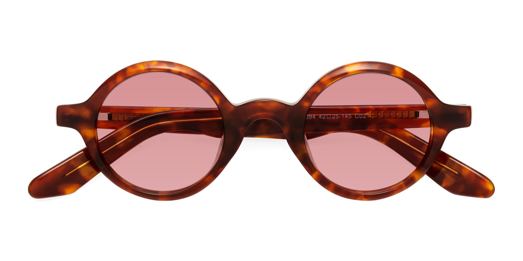 Folded Front of School in Tortoise with Medium Garnet Tinted Lenses