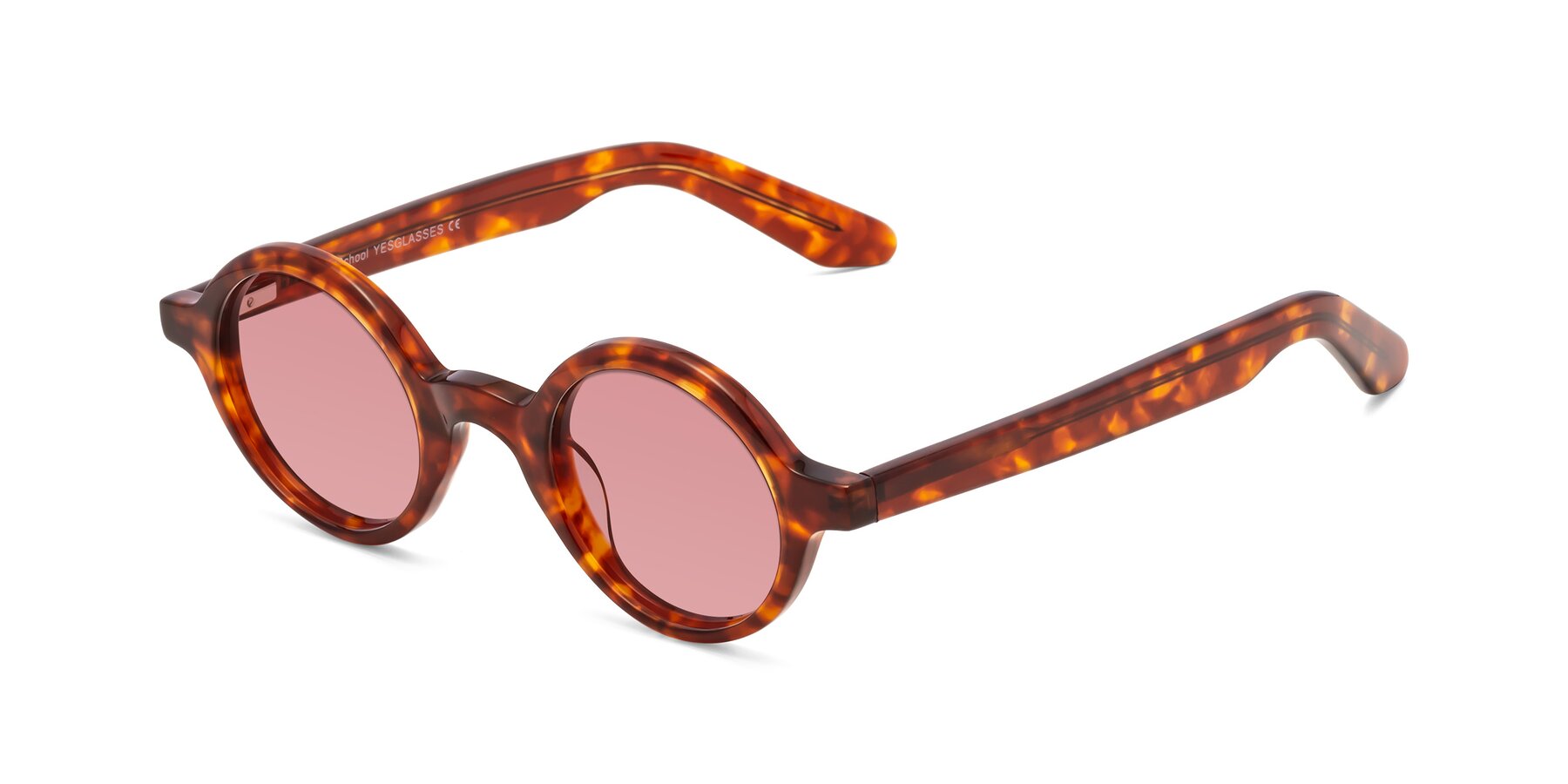 Angle of School in Tortoise with Medium Garnet Tinted Lenses