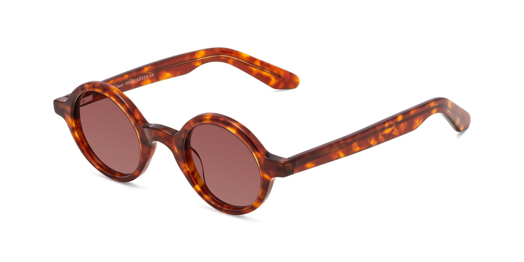 Angle of School in Tortoise with Garnet Tinted Lenses