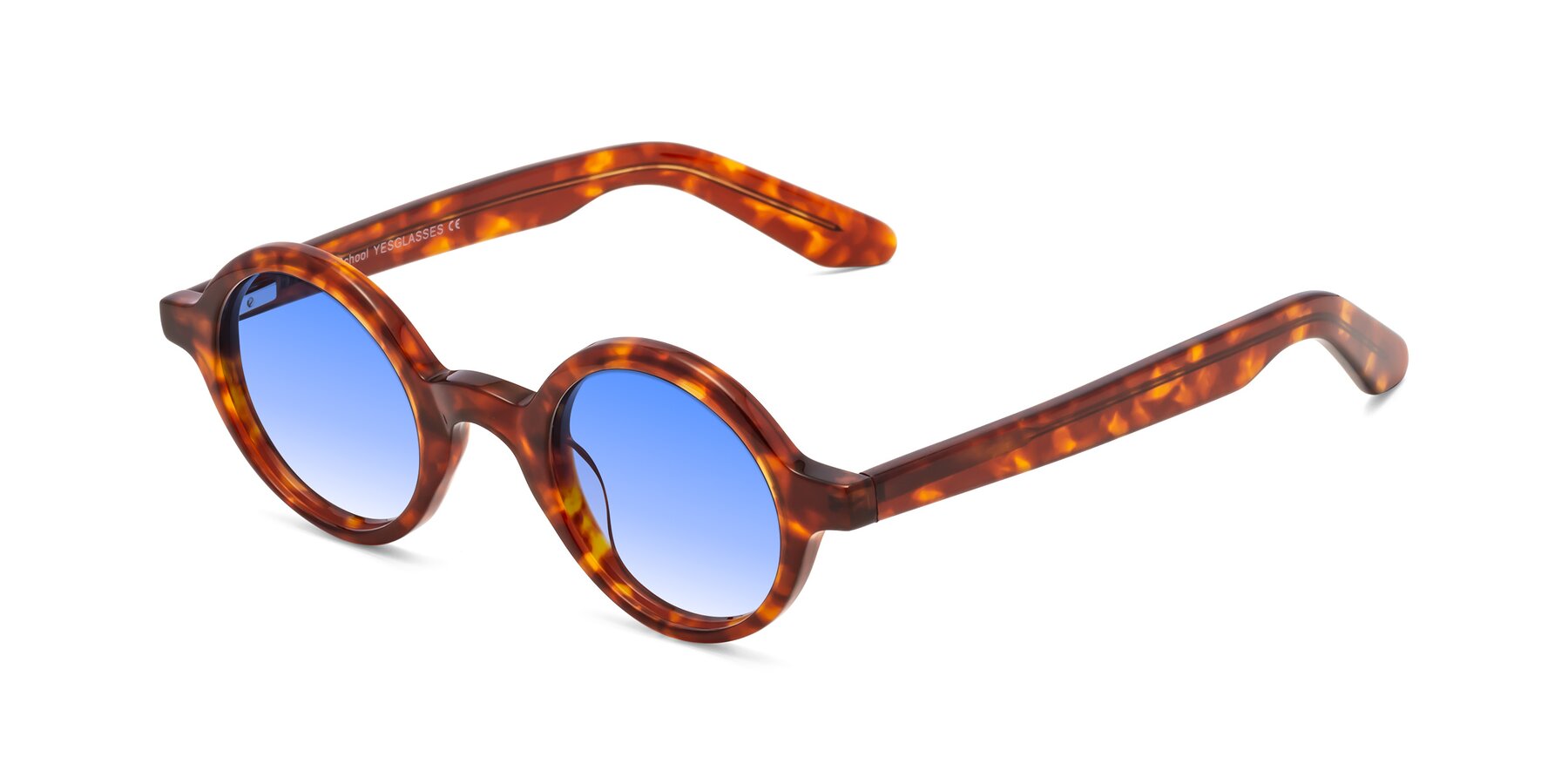 Angle of School in Tortoise with Blue Gradient Lenses