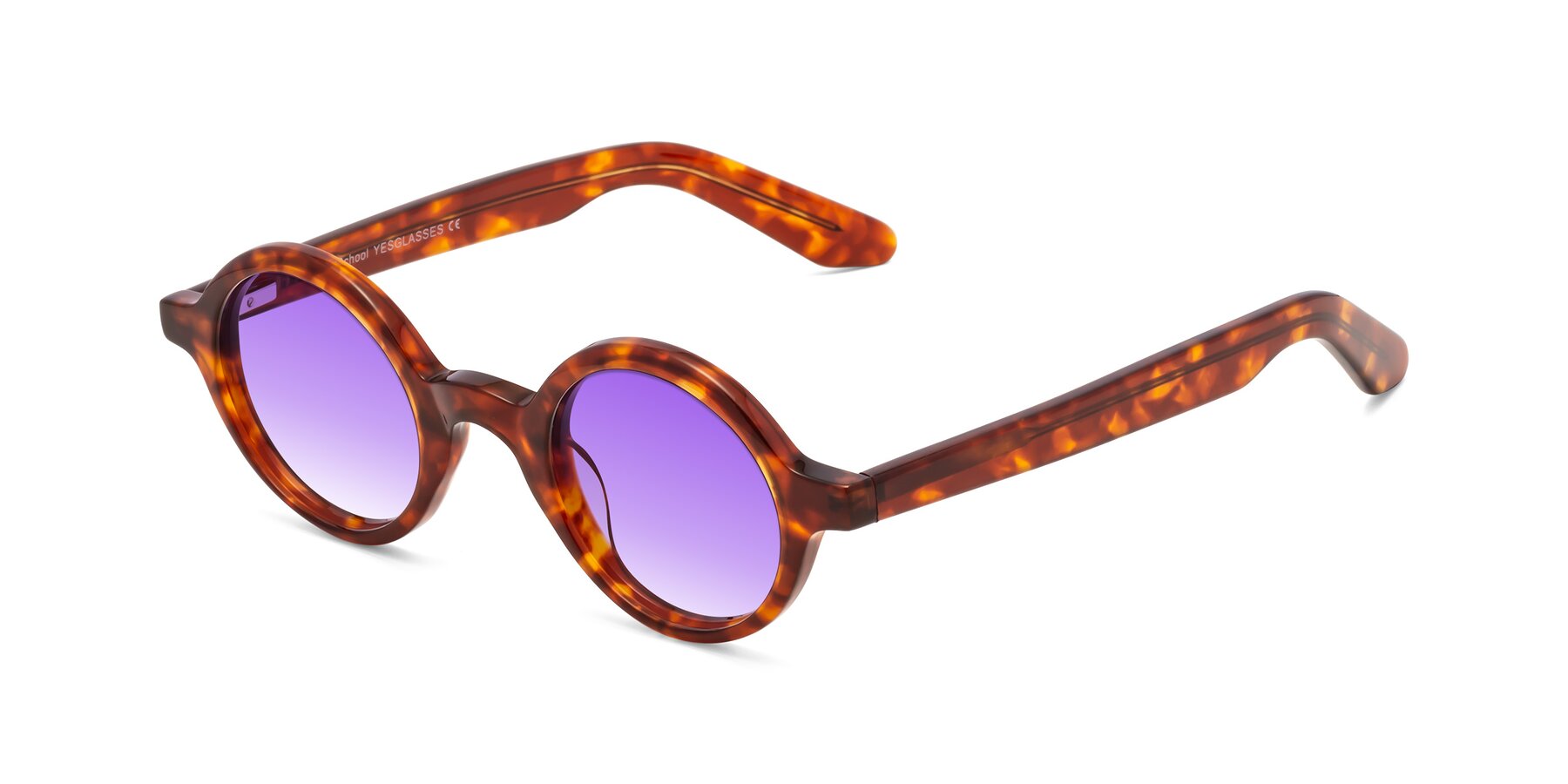 Angle of School in Tortoise with Purple Gradient Lenses