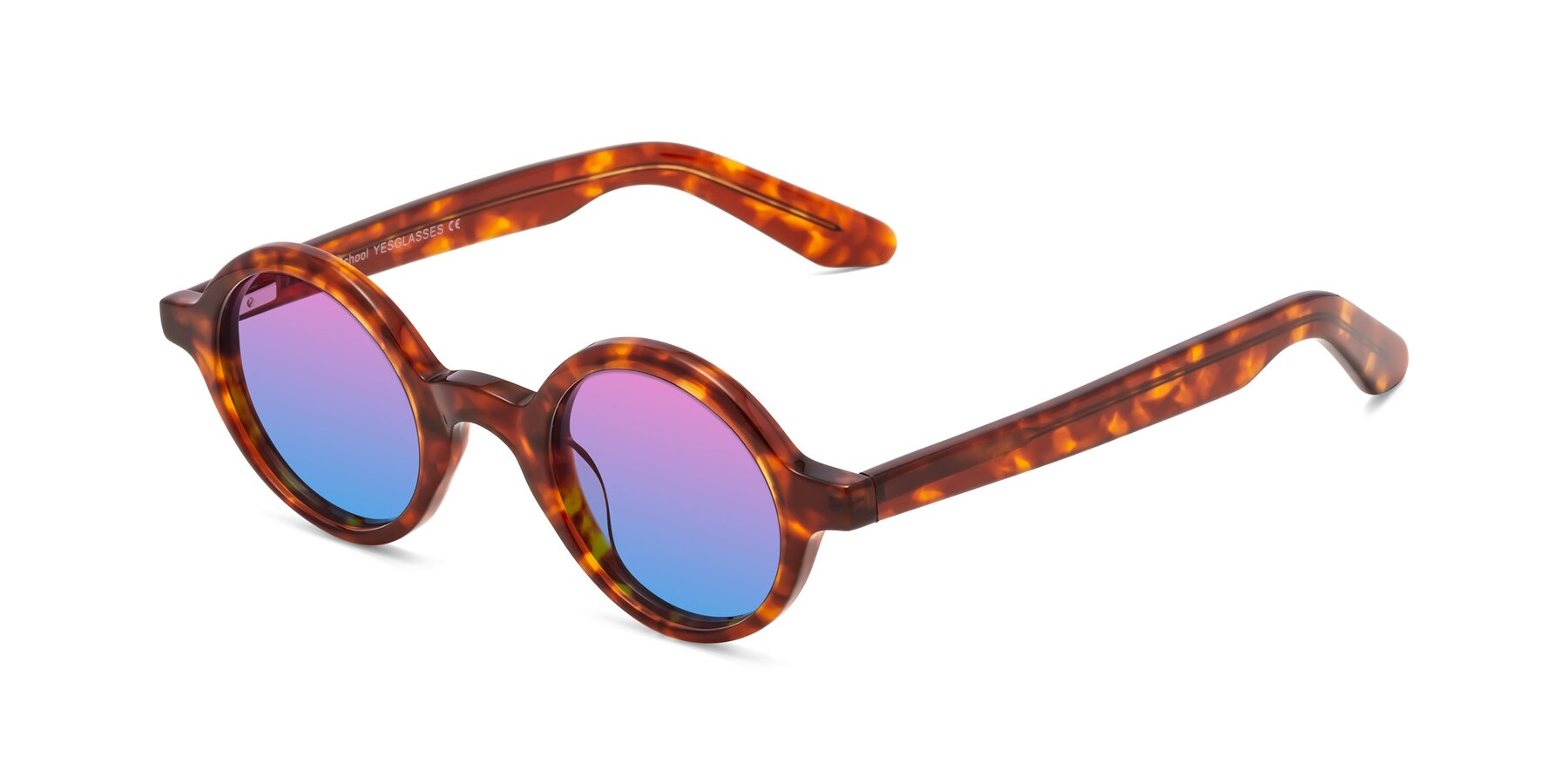 Angle of School in Tortoise with Pink / Blue Gradient Lenses