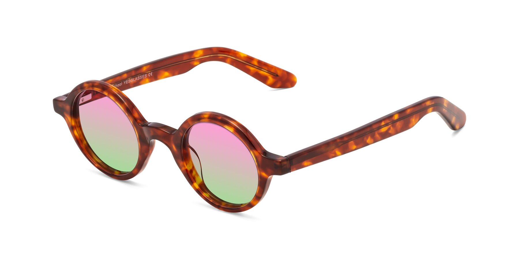 Angle of School in Tortoise with Pink / Green Gradient Lenses