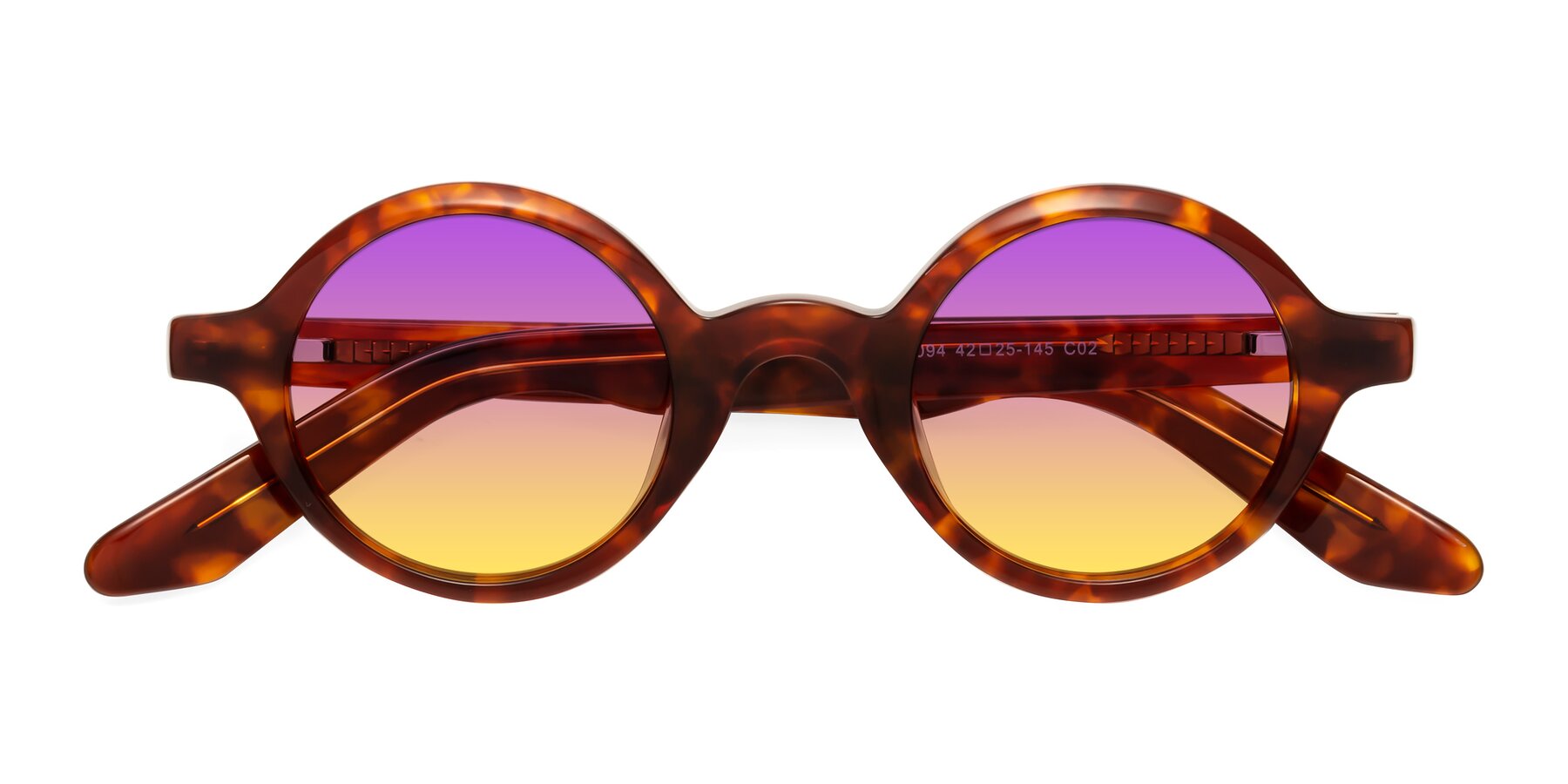 Folded Front of School in Tortoise with Purple / Yellow Gradient Lenses