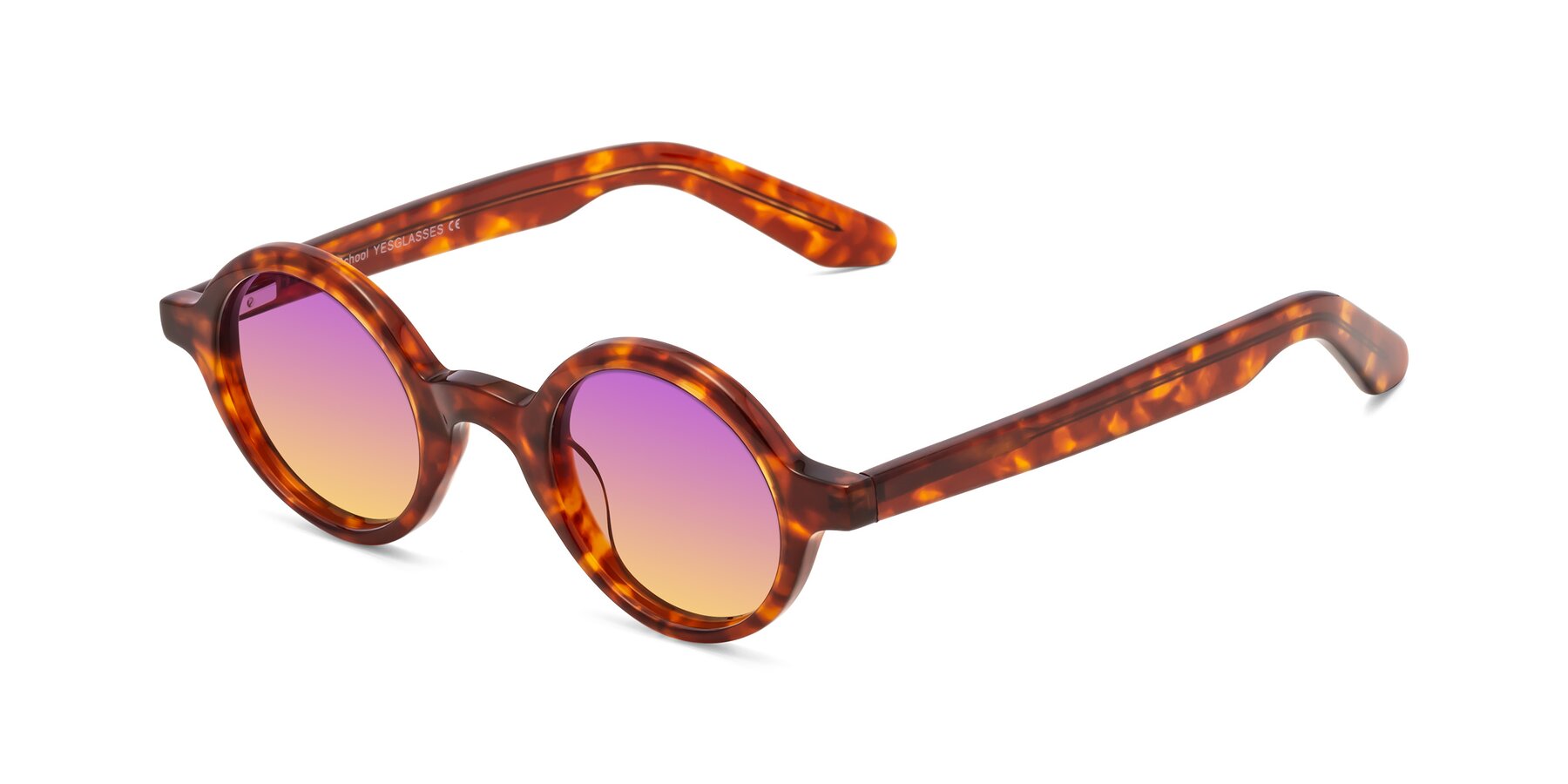 Angle of School in Tortoise with Purple / Yellow Gradient Lenses
