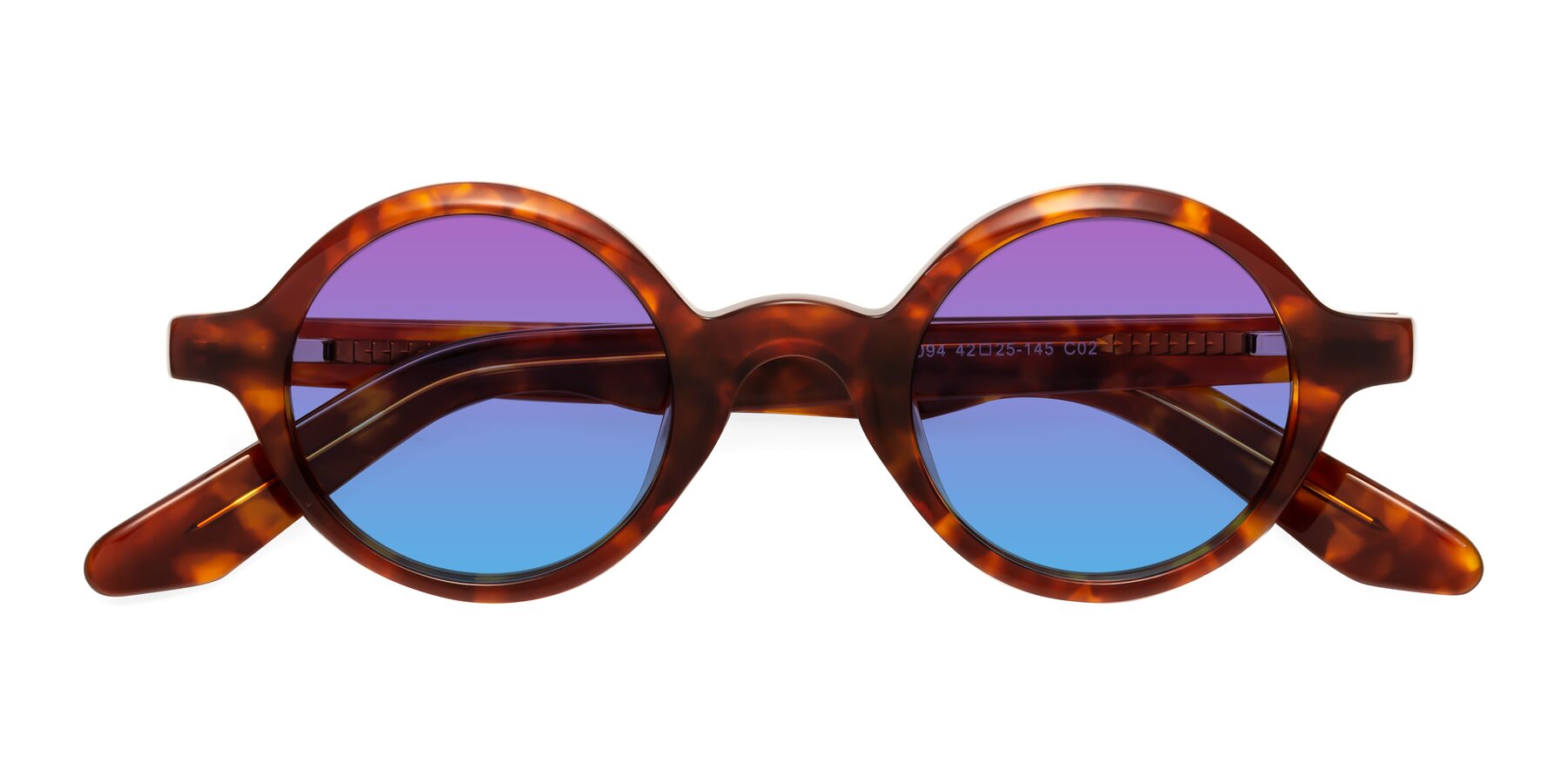 Folded Front of School in Tortoise with Purple / Blue Gradient Lenses