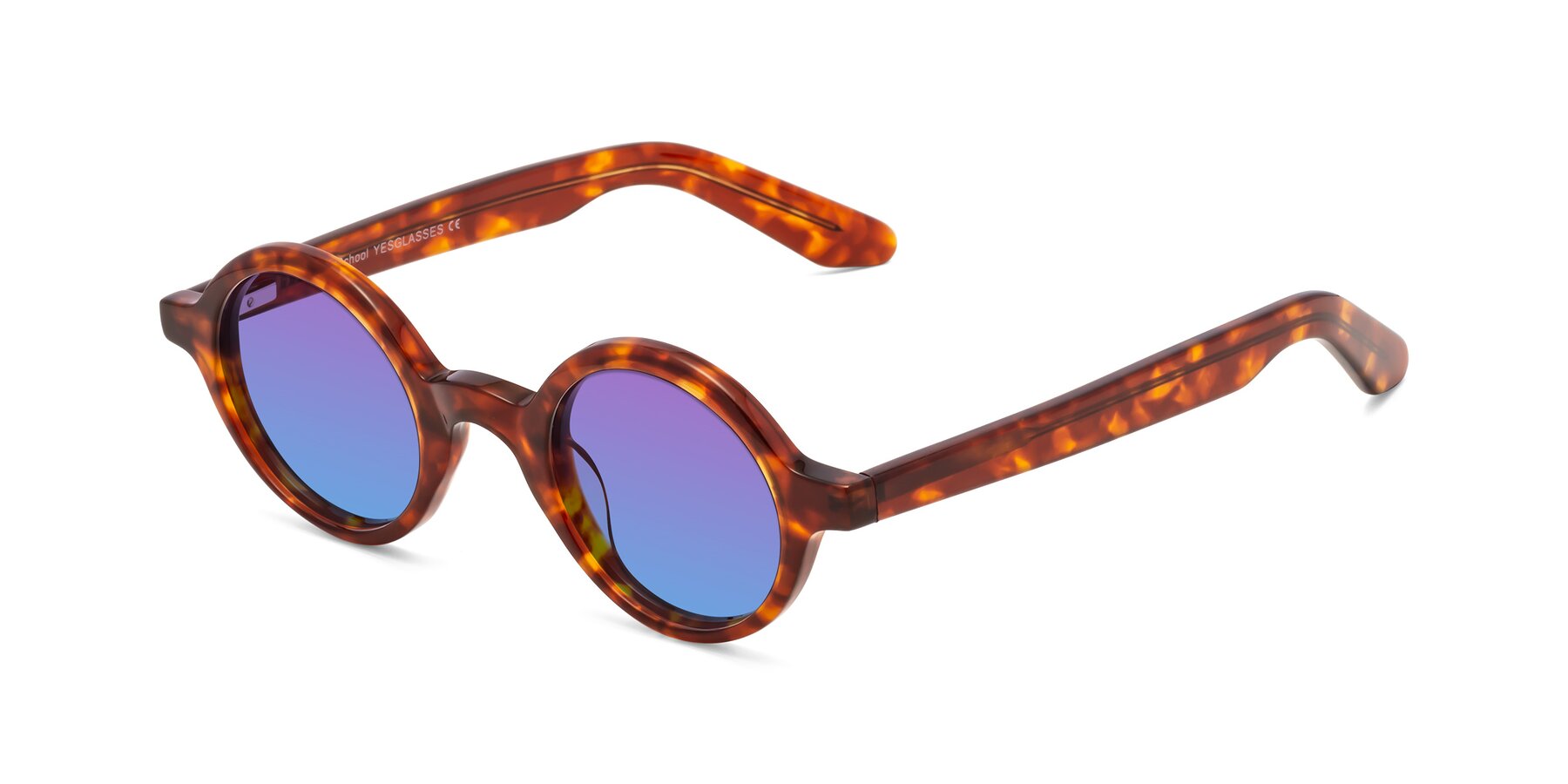Angle of School in Tortoise with Purple / Blue Gradient Lenses