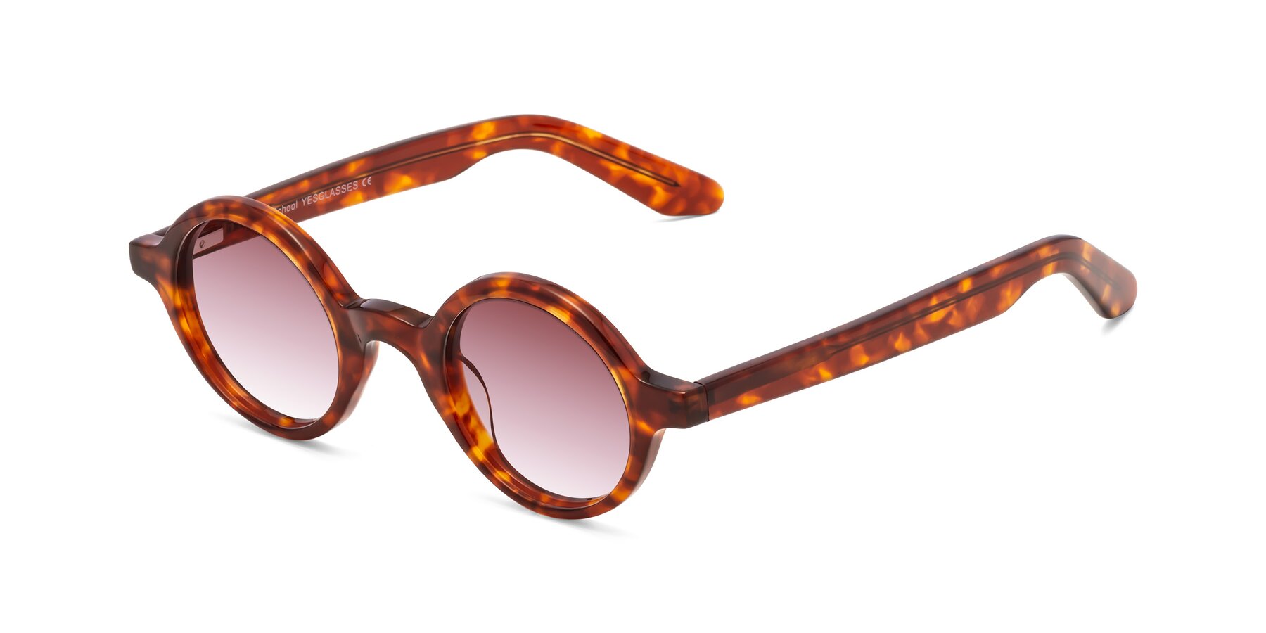 Angle of School in Tortoise with Garnet Gradient Lenses