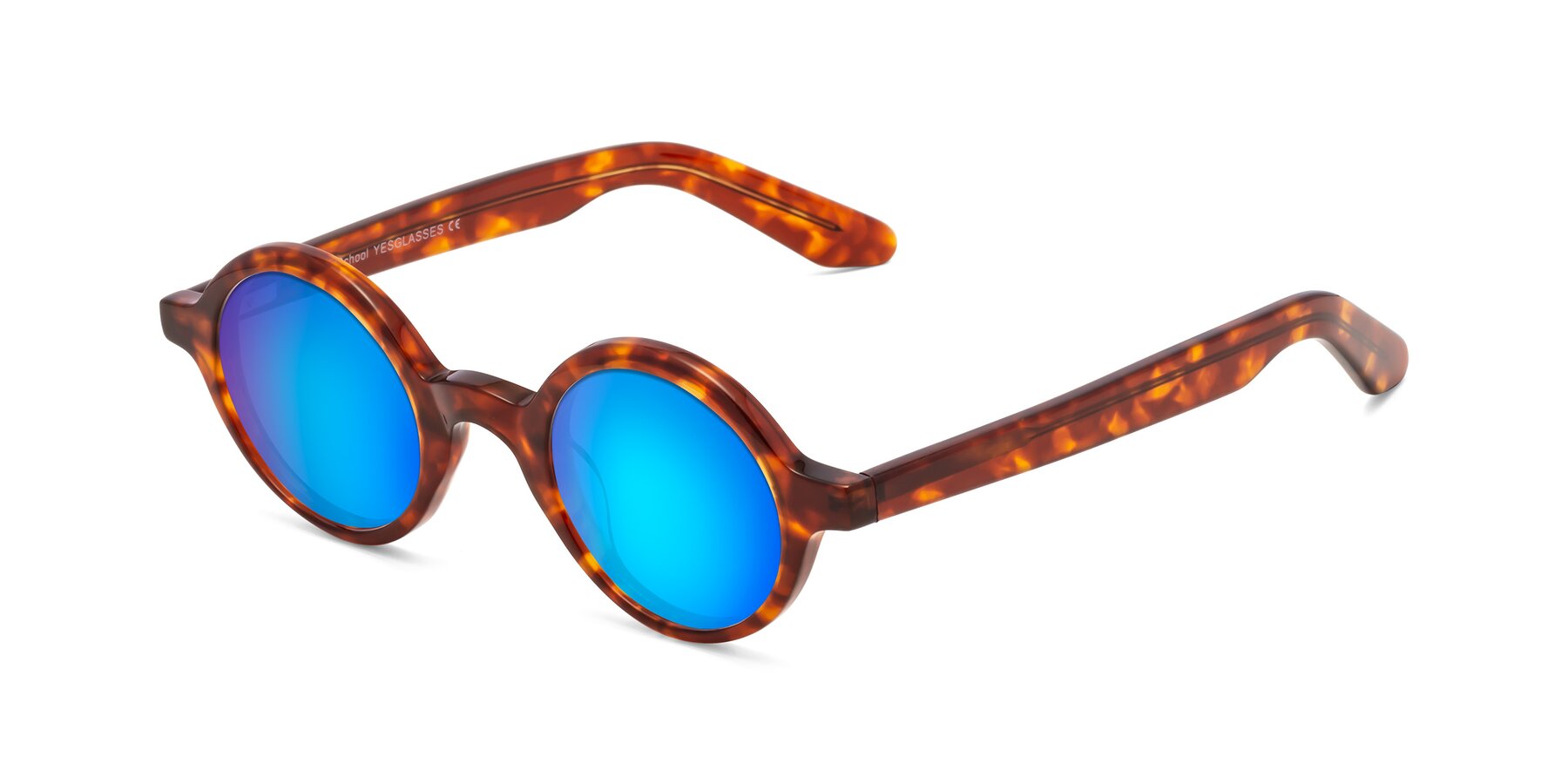Angle of School in Tortoise with Blue Mirrored Lenses