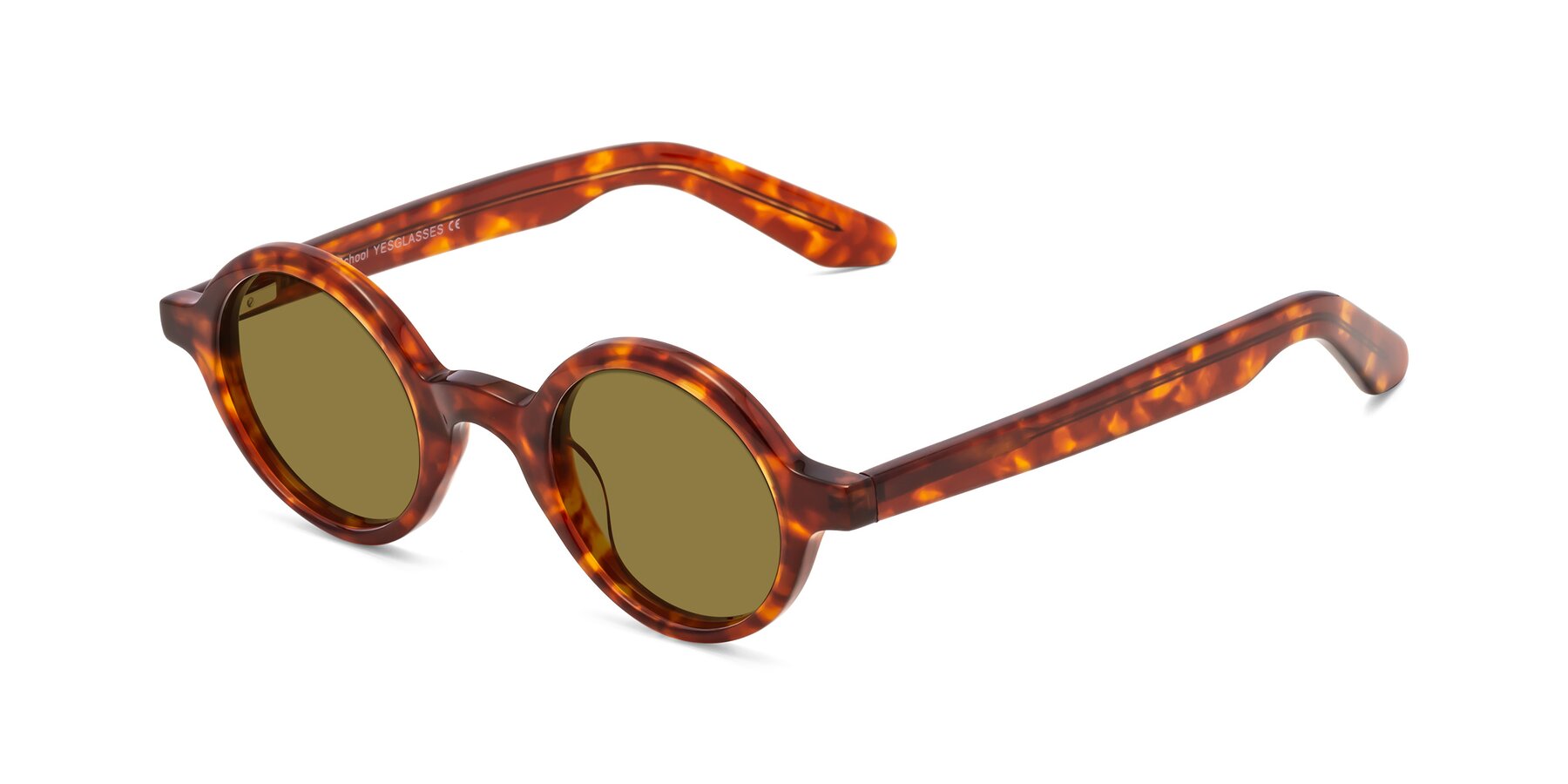 Angle of School in Tortoise with Brown Polarized Lenses