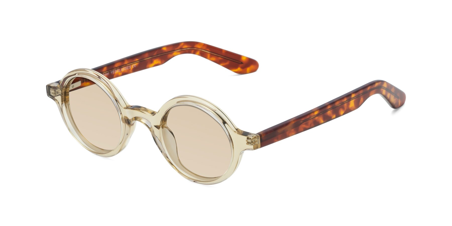 Angle of School in Champagne-Tortoise with Light Brown Tinted Lenses