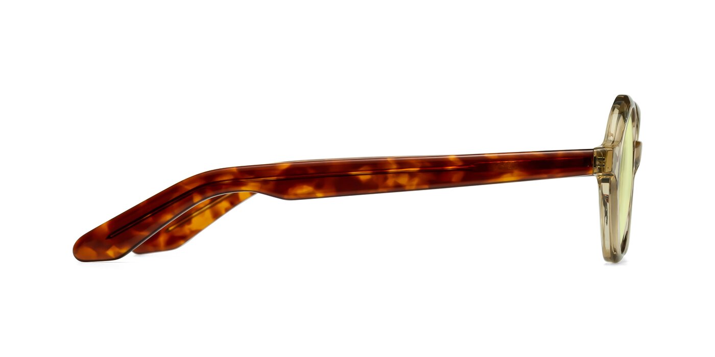 Champagne/Tortoise Retro-Vintage Acetate Round Tinted Sunglasses with ...