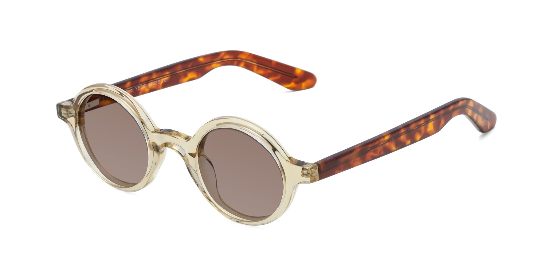 Angle of School in Champagne-Tortoise with Medium Brown Tinted Lenses