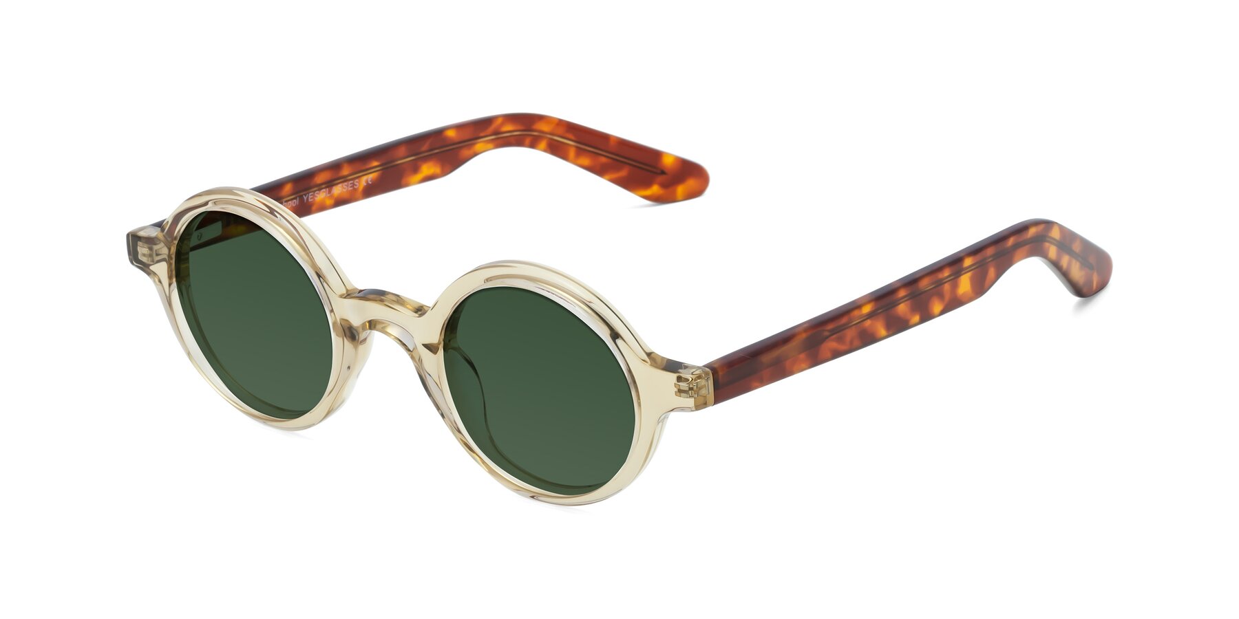 Angle of School in Champagne-Tortoise with Green Tinted Lenses