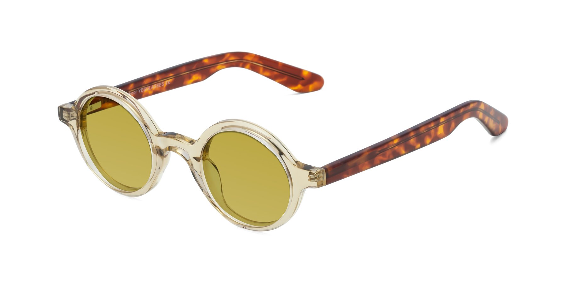 Angle of School in Champagne-Tortoise with Champagne Tinted Lenses