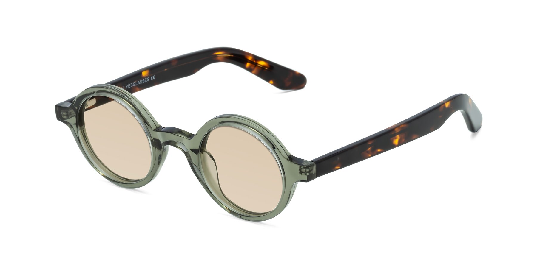 Angle of School in Green-Tortoise with Light Brown Tinted Lenses