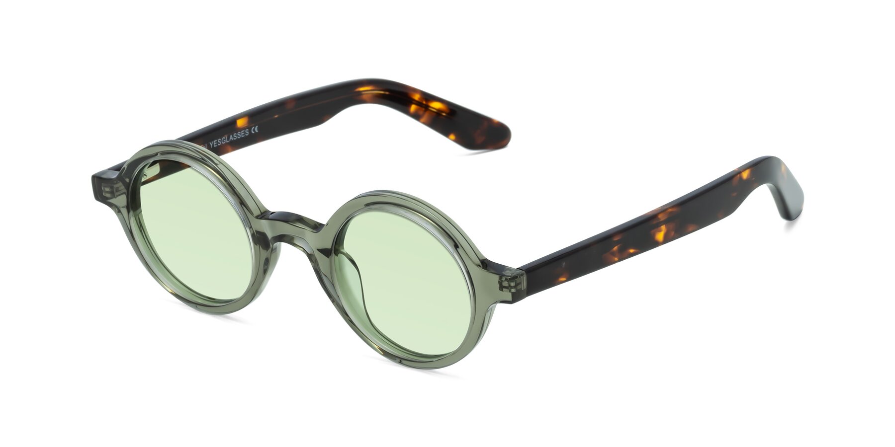 Angle of School in Green-Tortoise with Light Green Tinted Lenses
