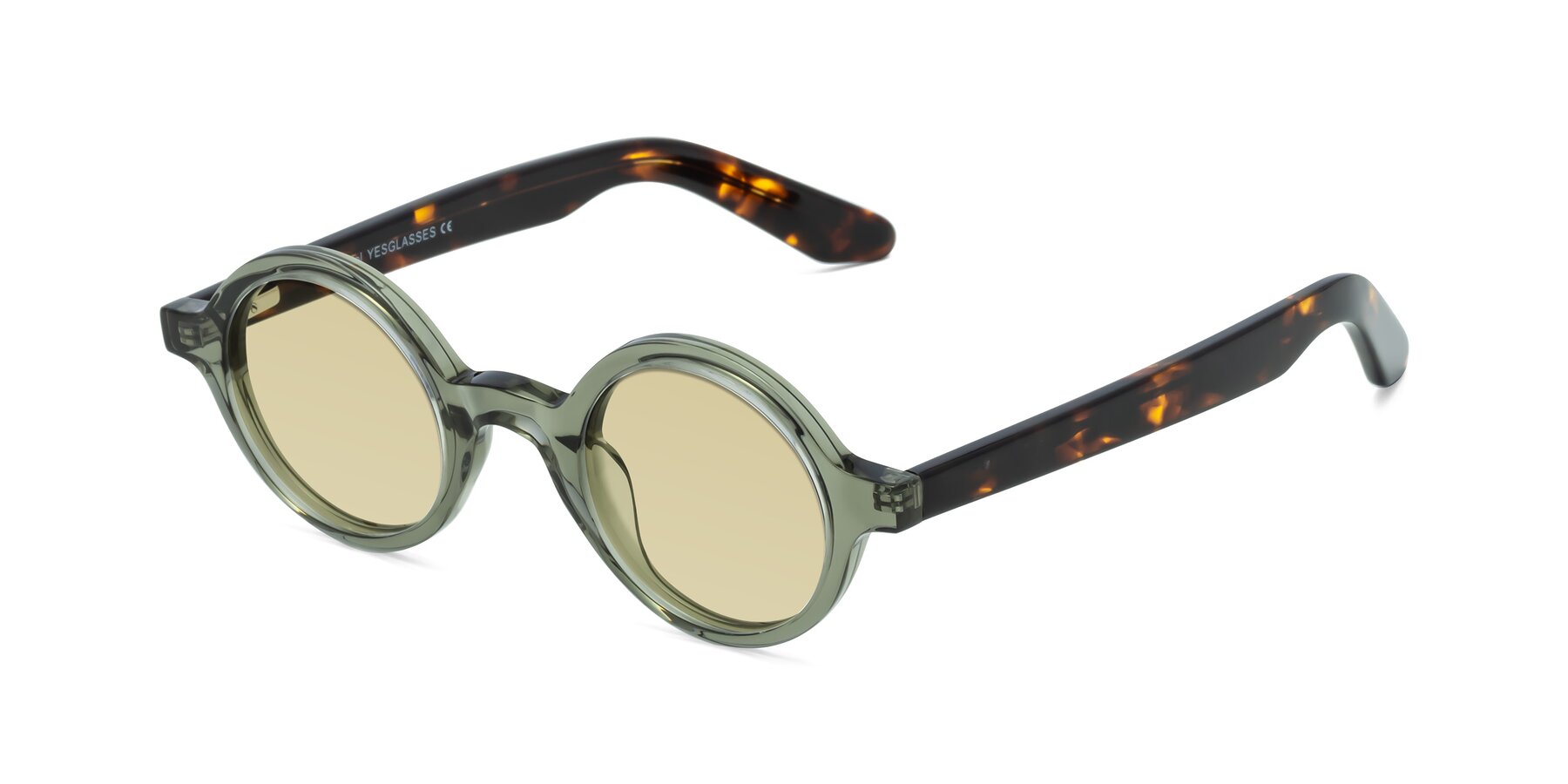Angle of School in Green-Tortoise with Light Champagne Tinted Lenses