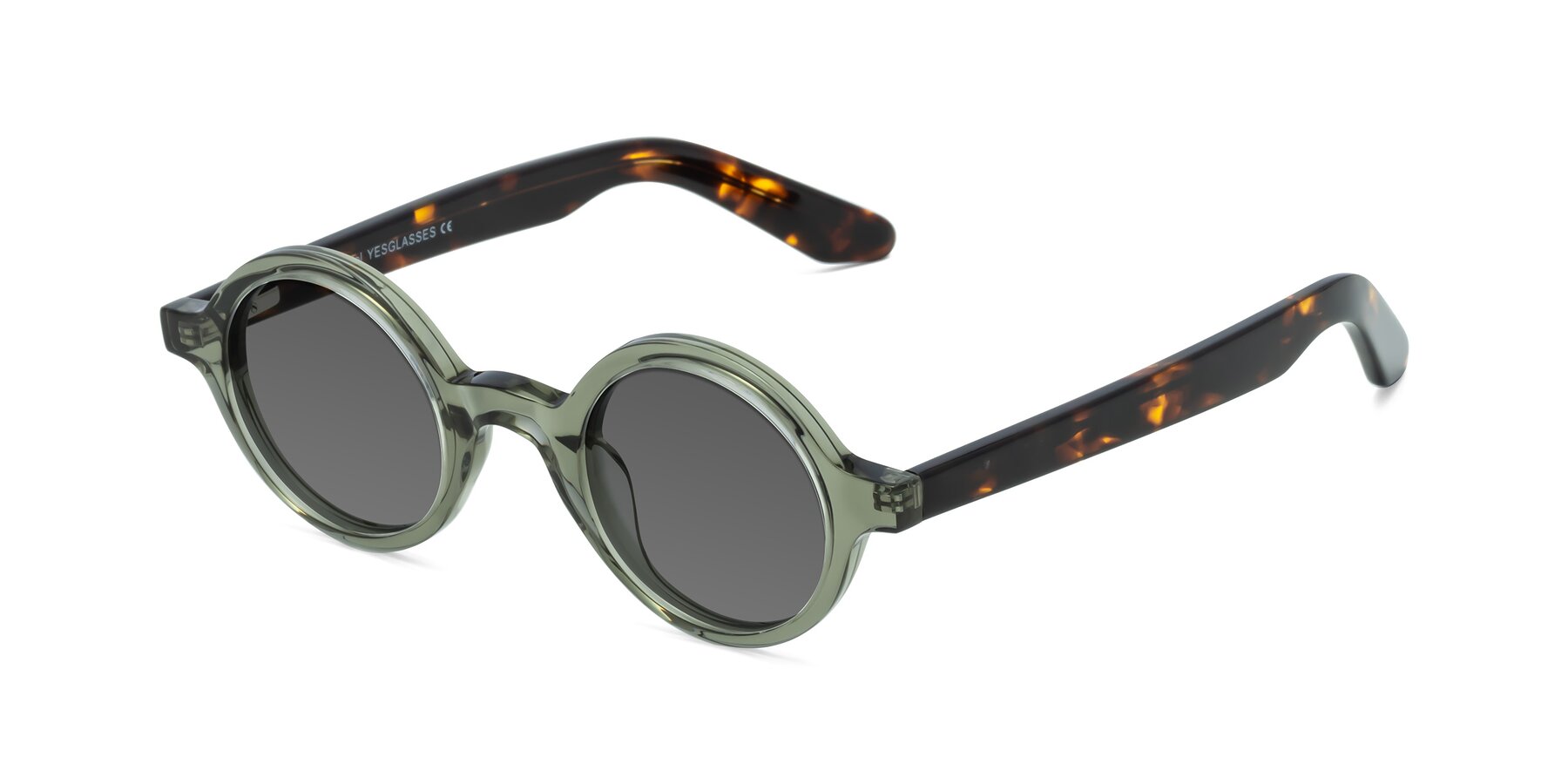 Angle of School in Green-Tortoise with Medium Gray Tinted Lenses