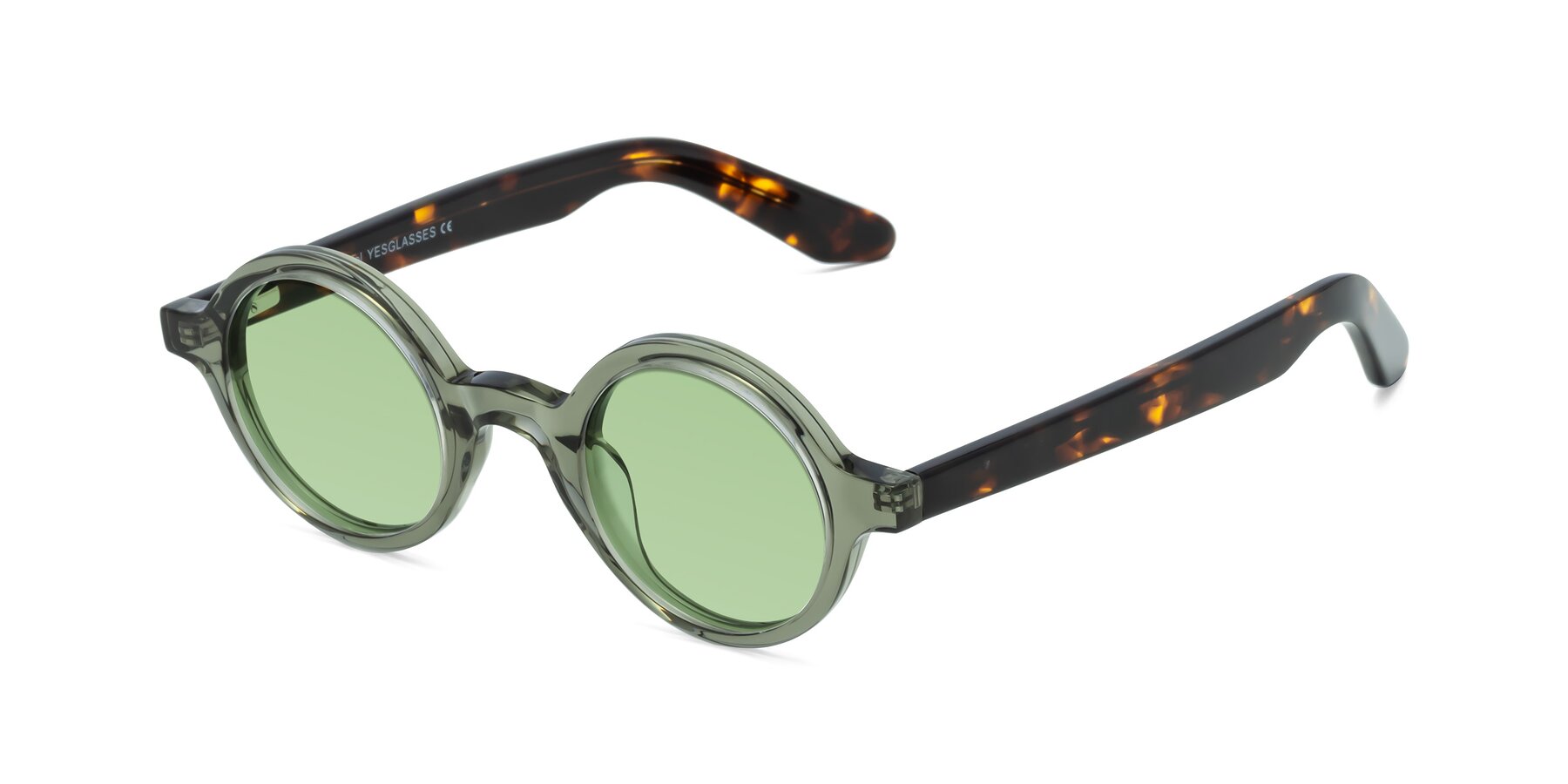 Angle of School in Green-Tortoise with Medium Green Tinted Lenses