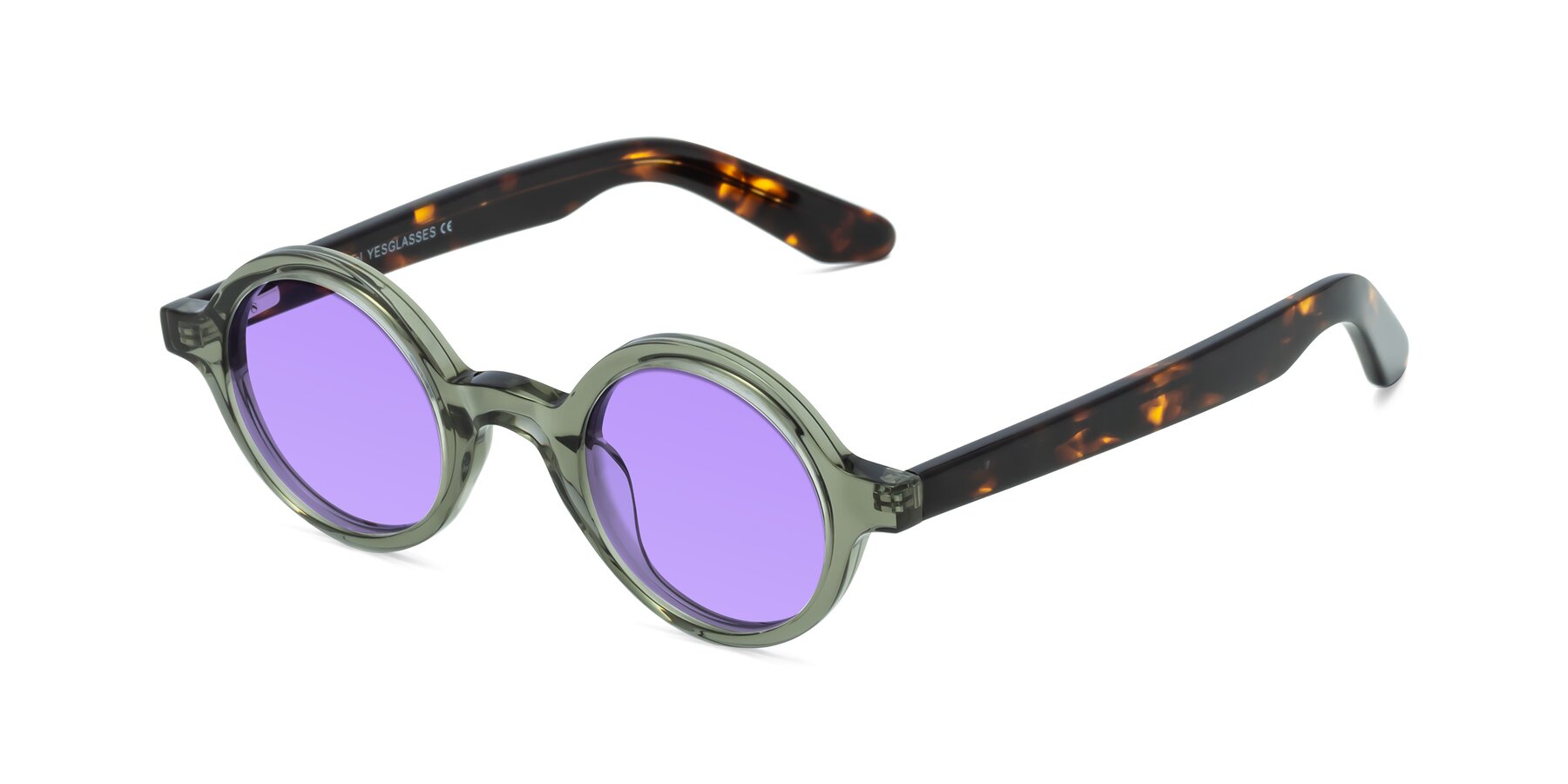 Angle of School in Green-Tortoise with Medium Purple Tinted Lenses