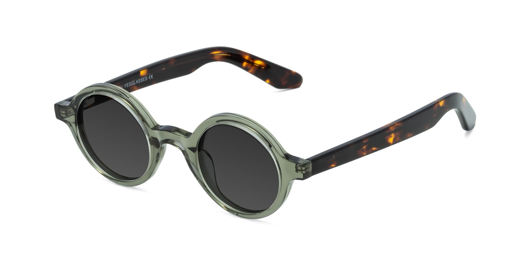 Angle of School in Green-Tortoise with Gray Tinted Lenses