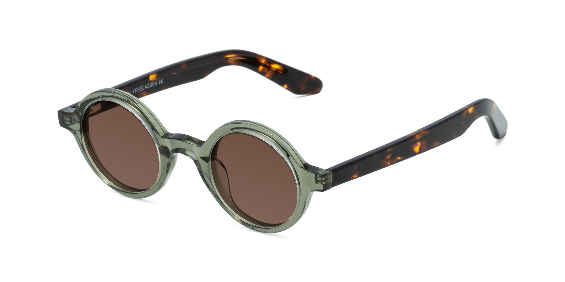 Angle of School in Green-Tortoise with Brown Tinted Lenses