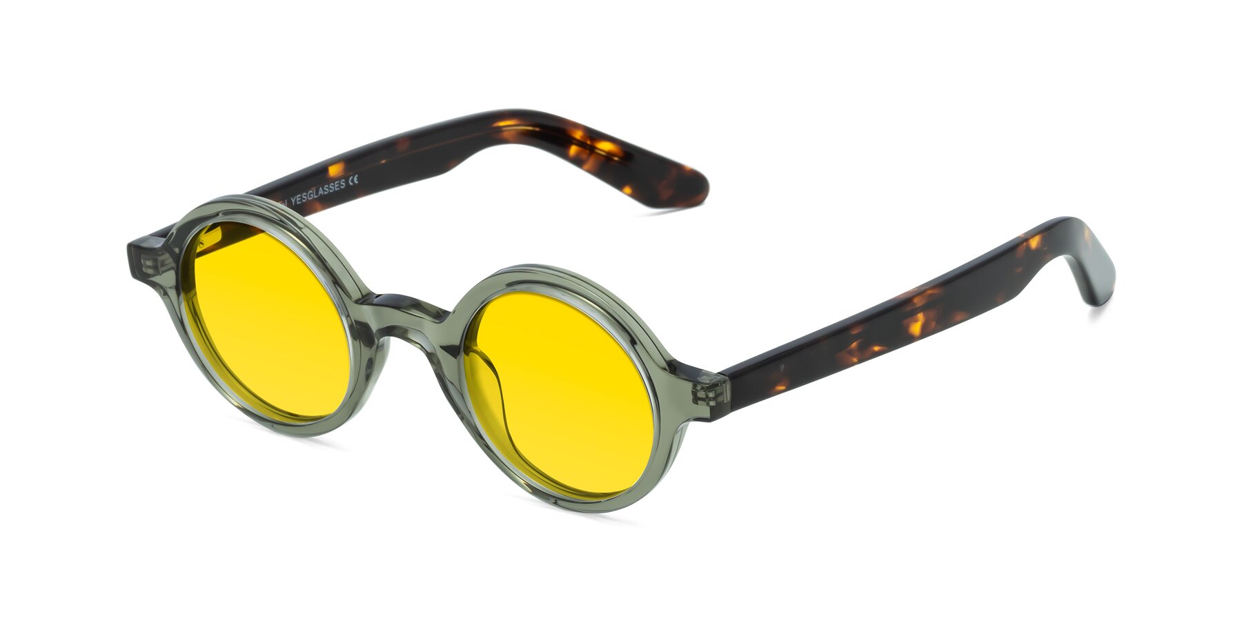 Angle of School in Green-Tortoise with Yellow Tinted Lenses