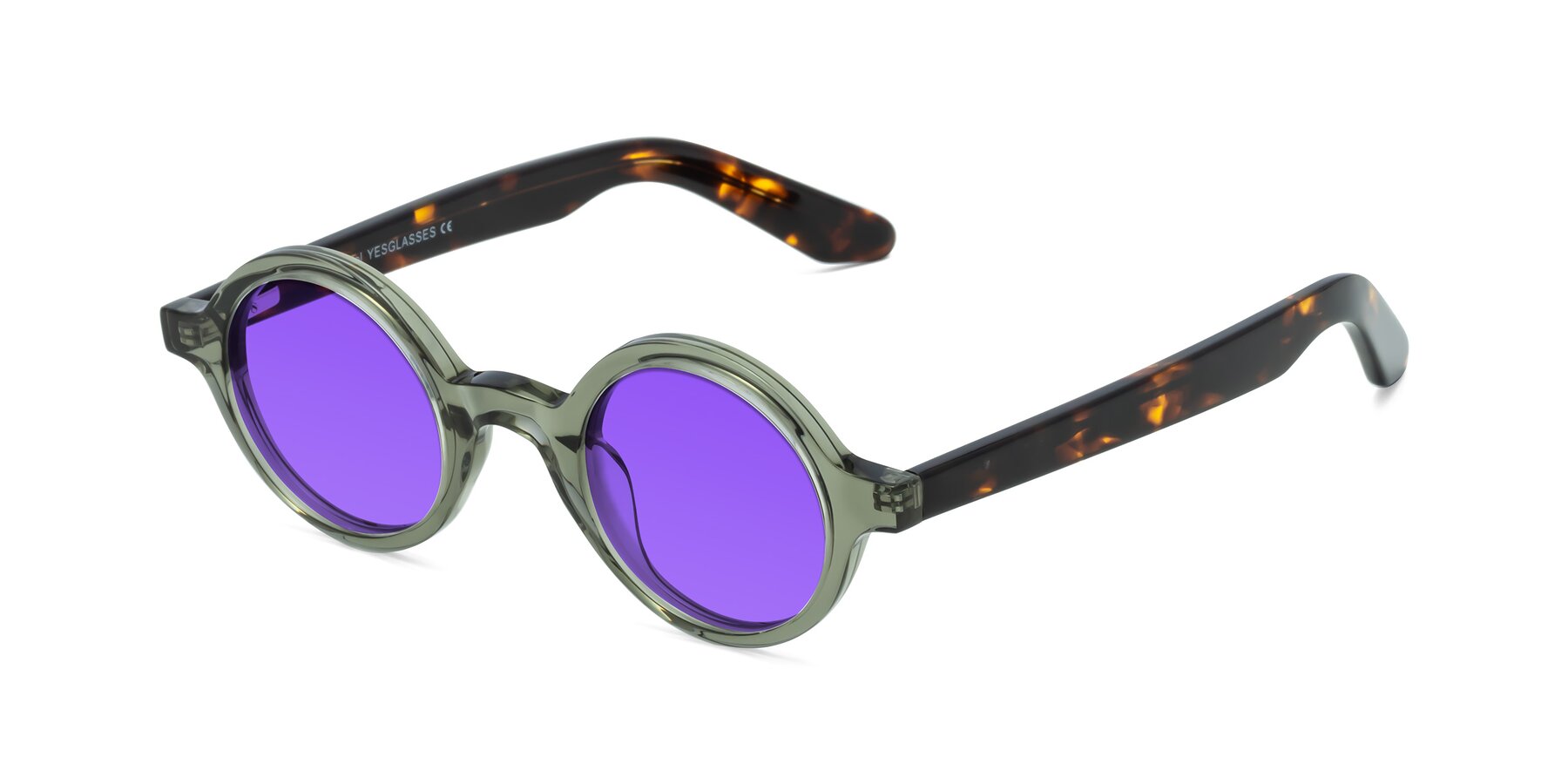 Angle of School in Green-Tortoise with Purple Tinted Lenses