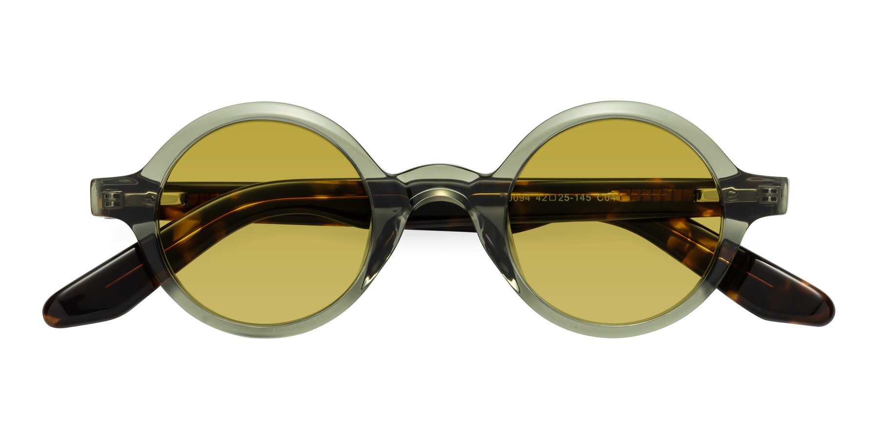 Folded Front of School in Green-Tortoise with Champagne Tinted Lenses