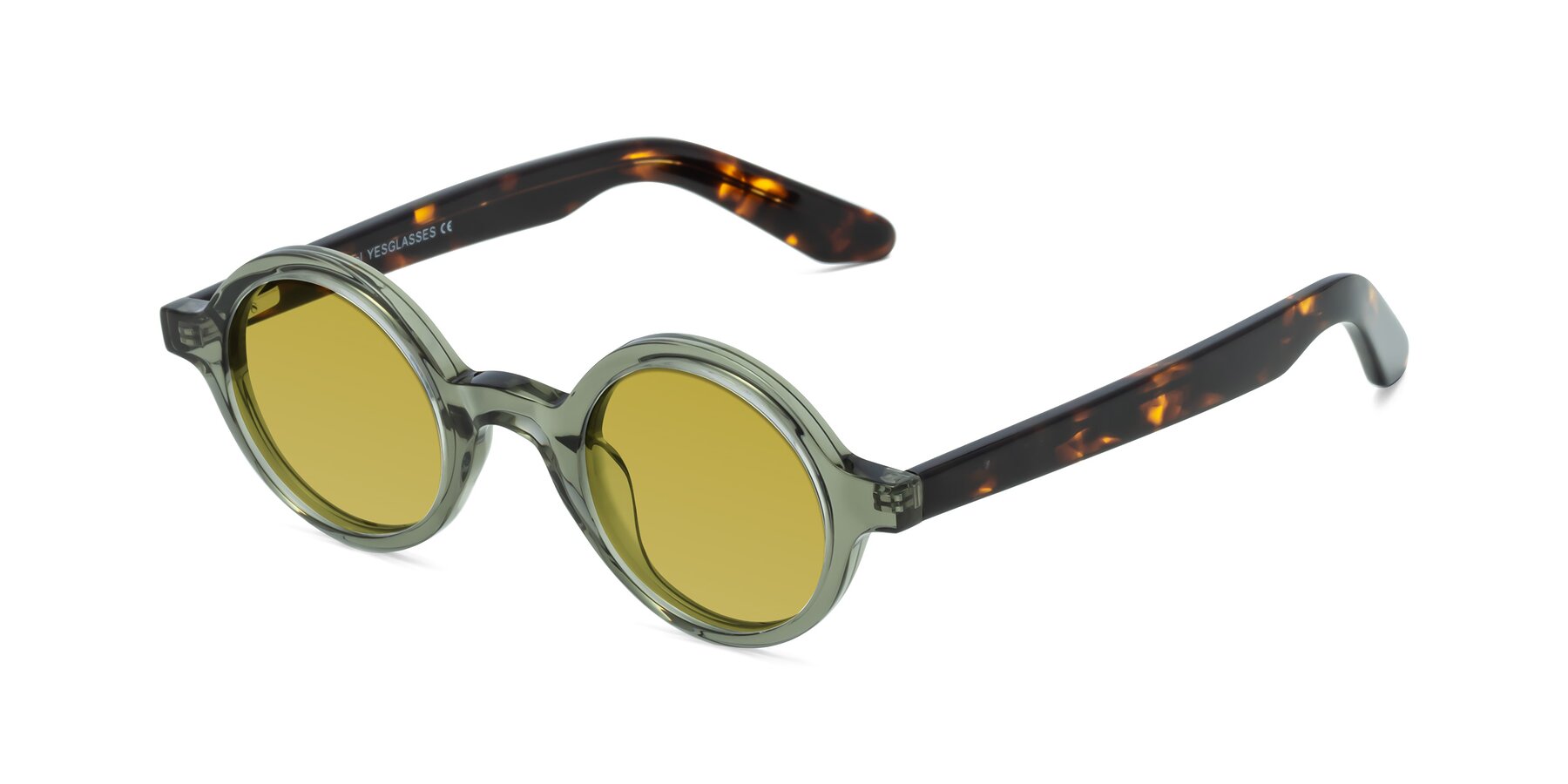 Angle of School in Green-Tortoise with Champagne Tinted Lenses
