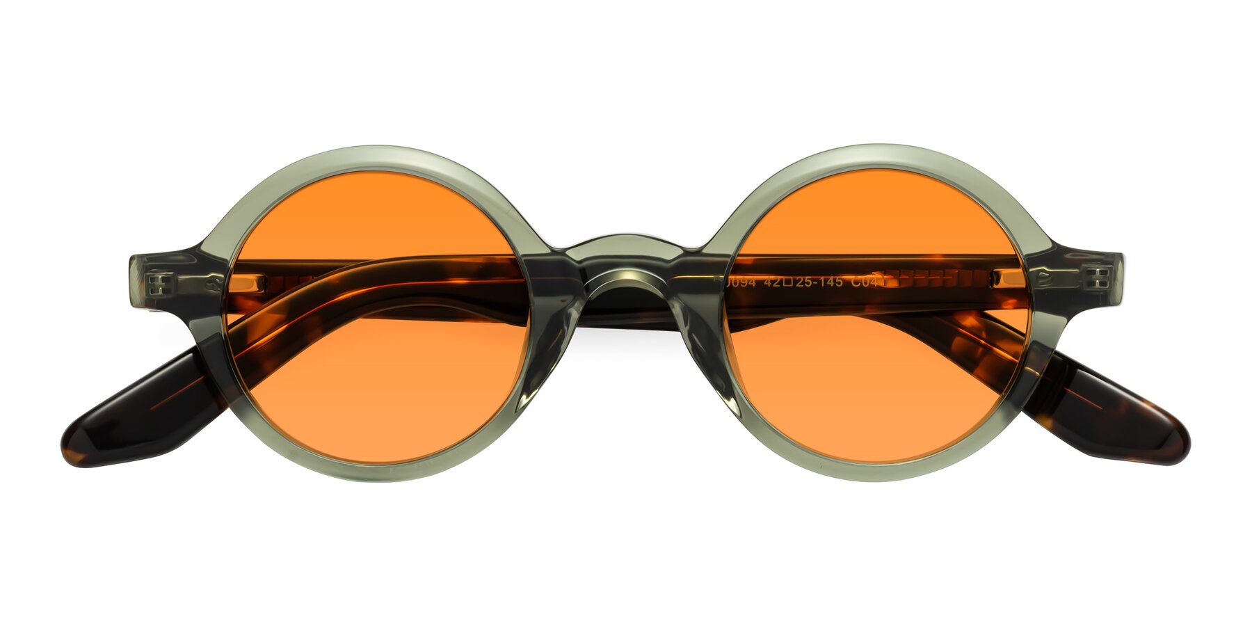 Folded Front of School in Green-Tortoise with Orange Tinted Lenses