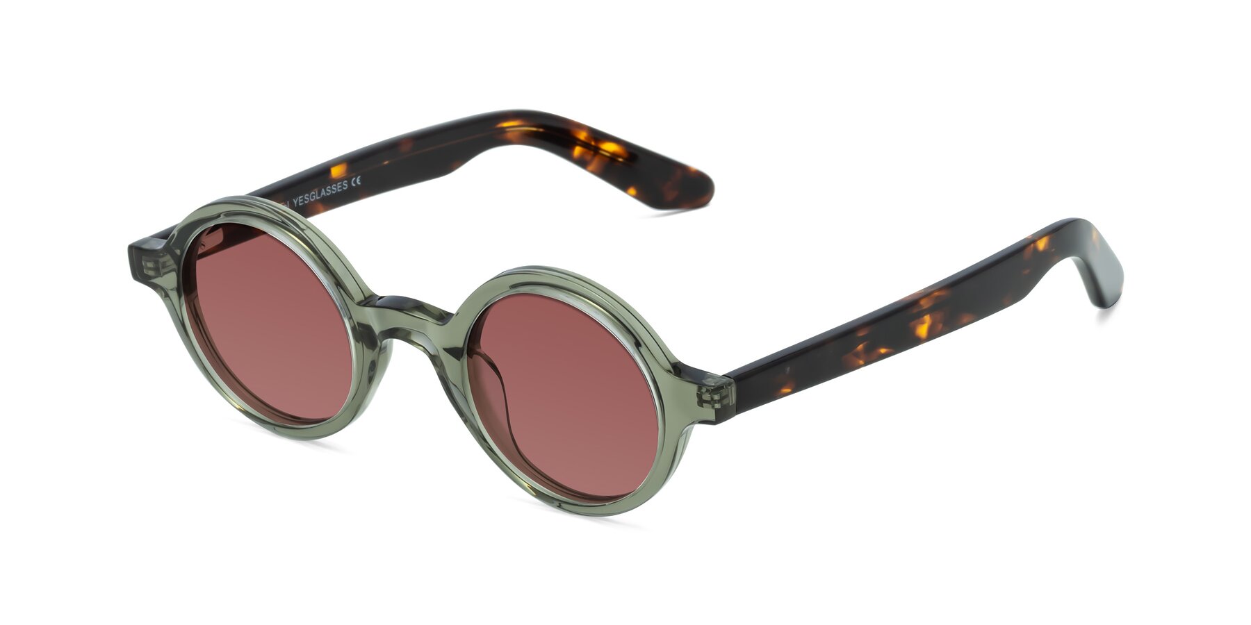 Angle of School in Green-Tortoise with Garnet Tinted Lenses