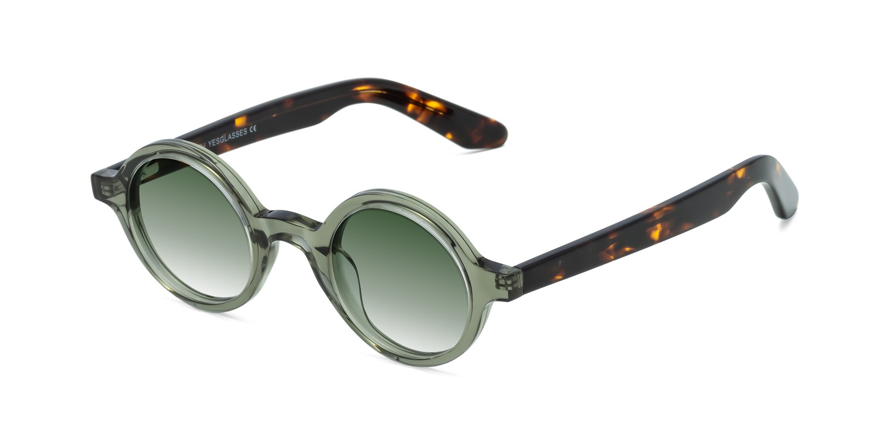 Angle of School in Green-Tortoise with Green Gradient Lenses