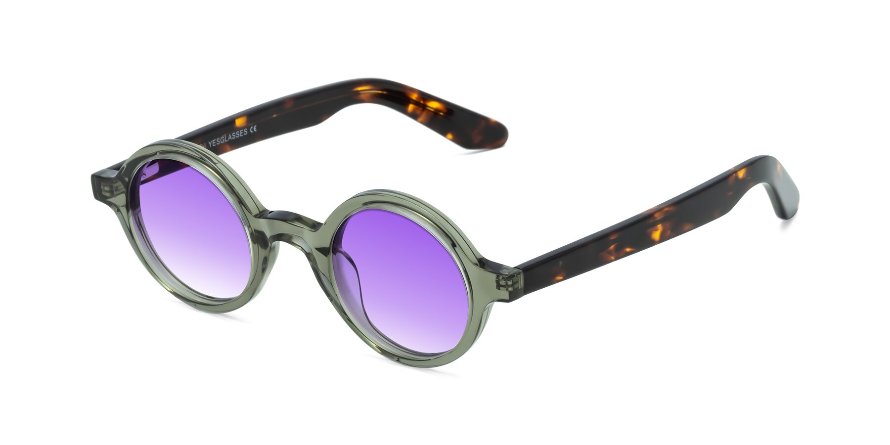 Angle of School in Green-Tortoise with Purple Gradient Lenses