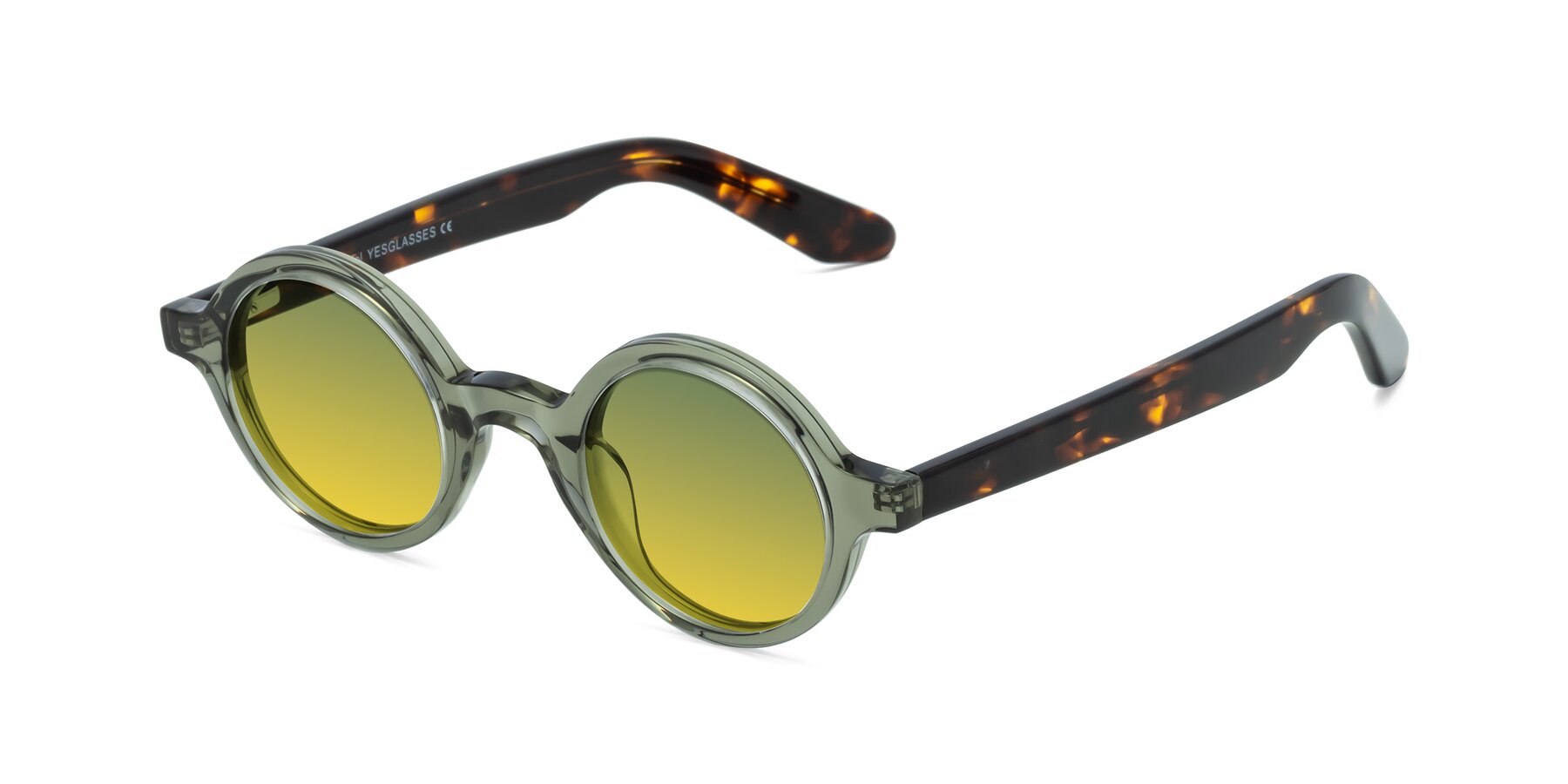 Angle of School in Green-Tortoise with Green / Yellow Gradient Lenses