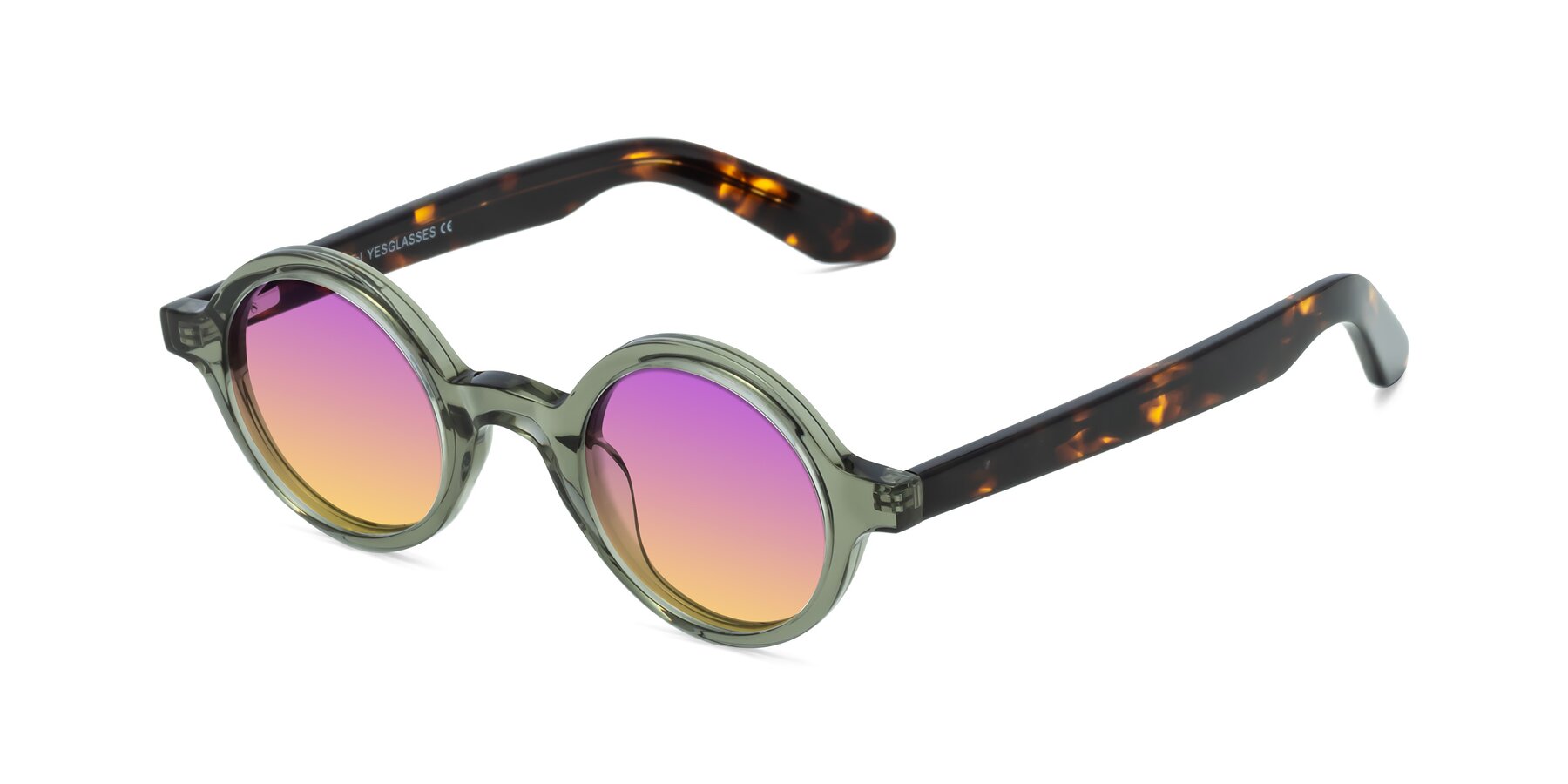Angle of School in Green-Tortoise with Purple / Yellow Gradient Lenses