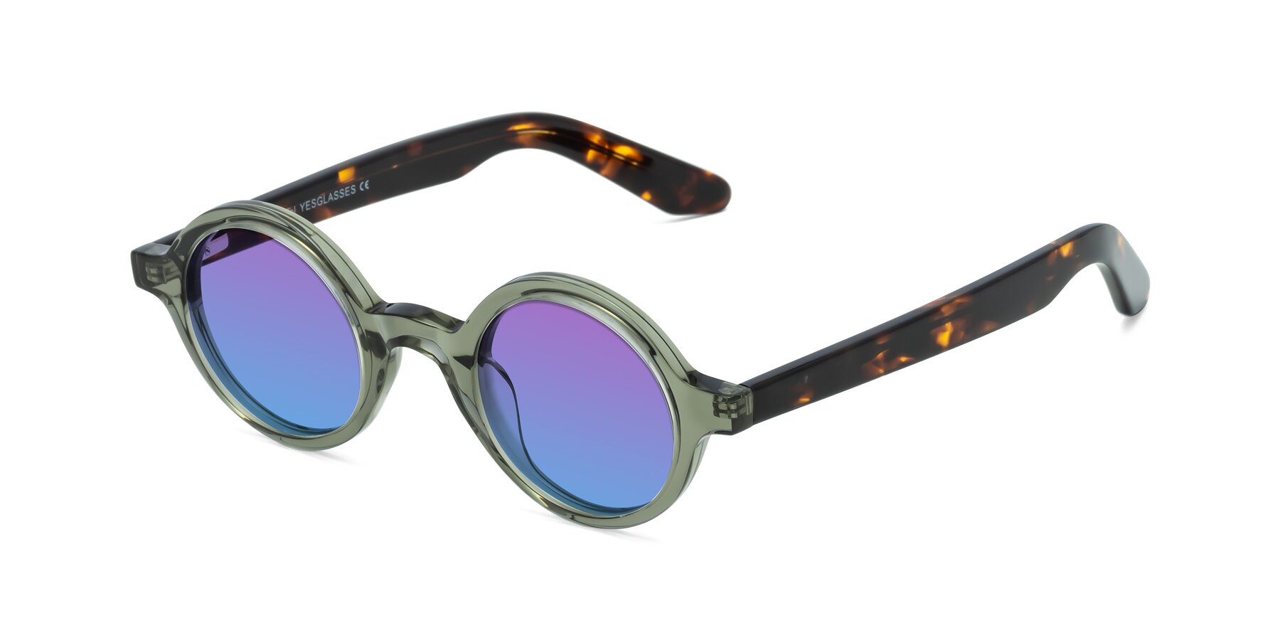 Angle of School in Green-Tortoise with Purple / Blue Gradient Lenses