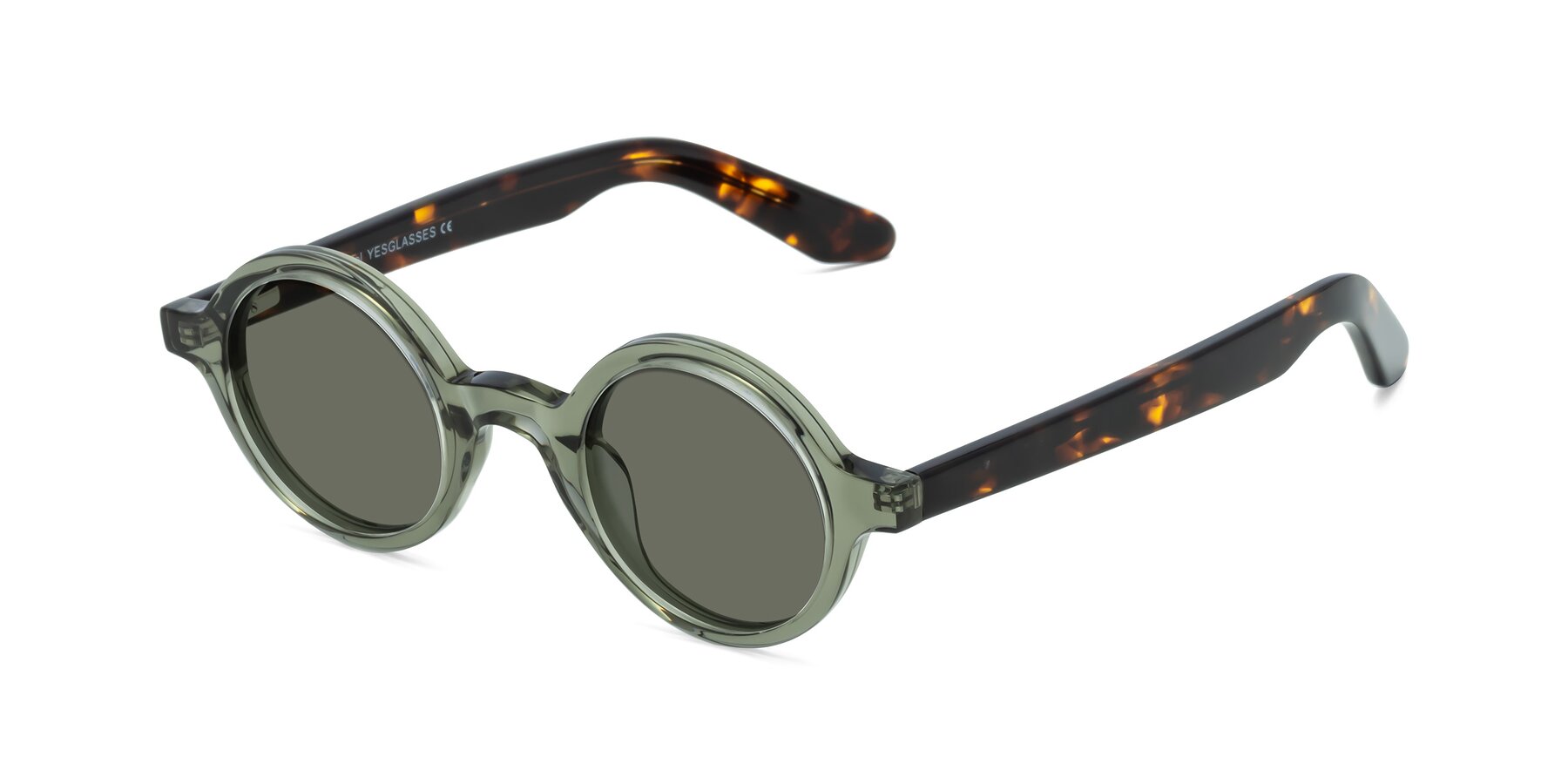 Angle of School in Green-Tortoise with Gray Polarized Lenses
