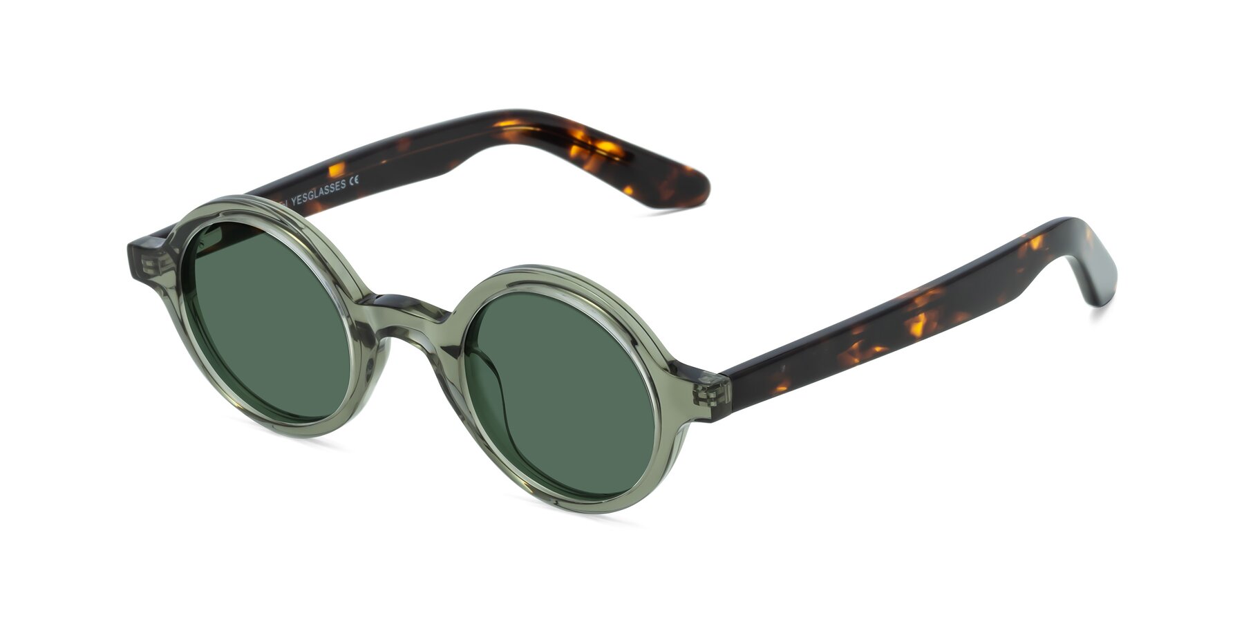 Angle of School in Green-Tortoise with Green Polarized Lenses