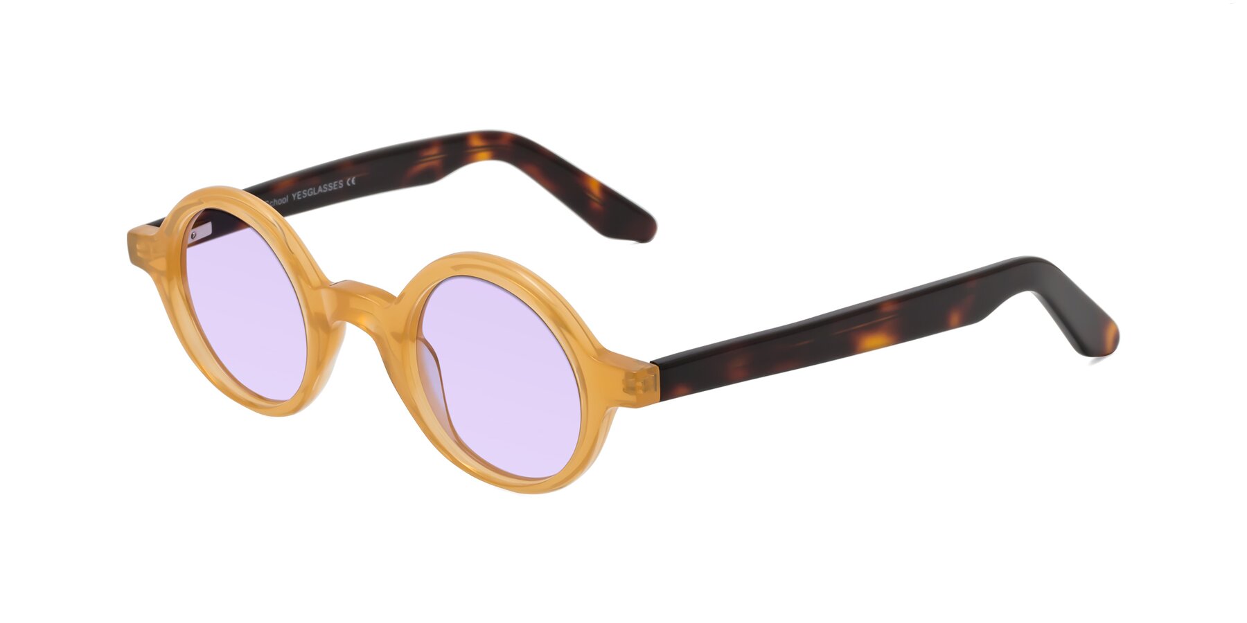 Angle of School in Light Orange with Light Purple Tinted Lenses