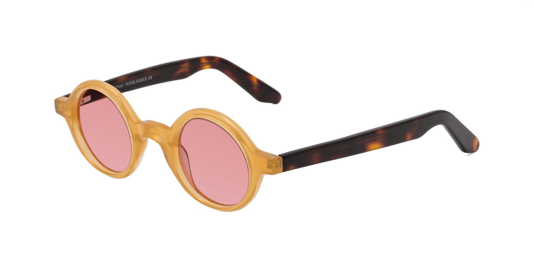 Angle of School in Light Orange with Medium Garnet Tinted Lenses