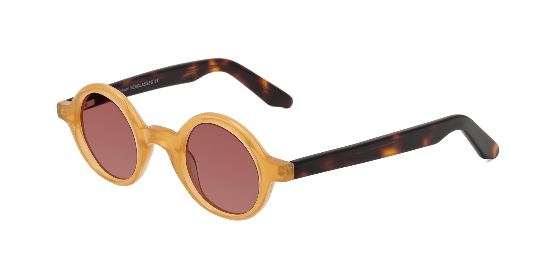 Angle of School in Light Orange with Garnet Tinted Lenses