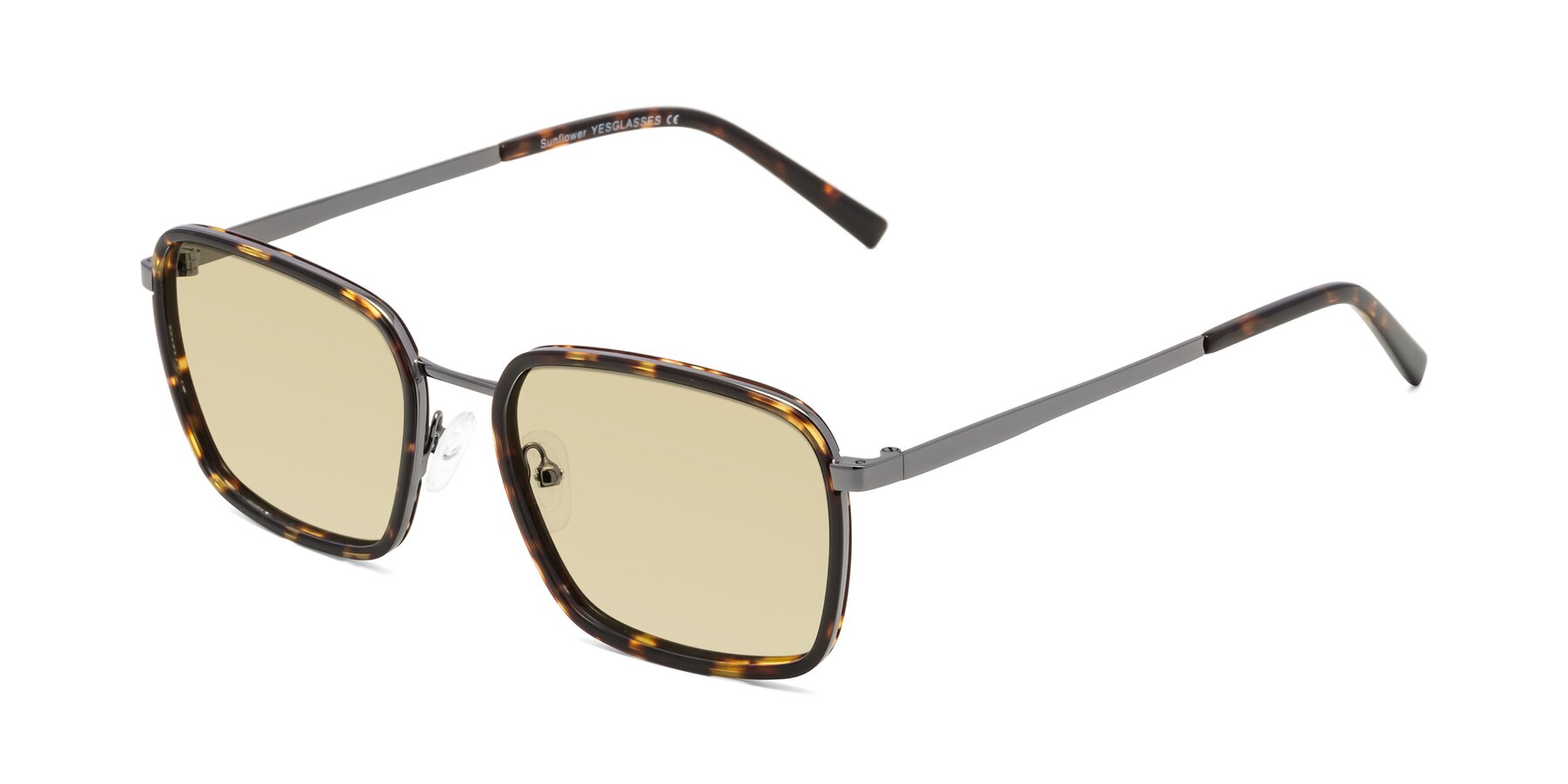 Angle of Sunflower in Tortoise-Gunmetal with Light Champagne Tinted Lenses