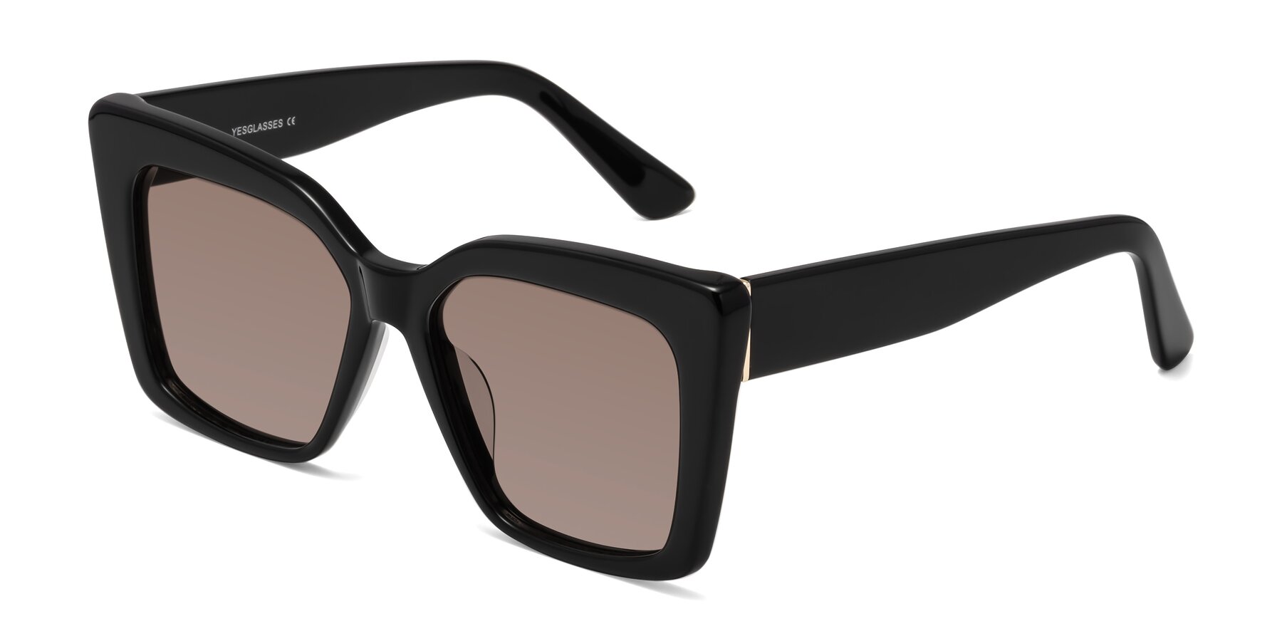 Angle of Hagen in Black with Medium Brown Tinted Lenses