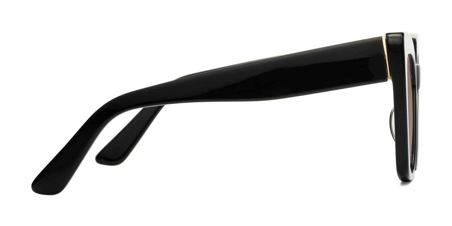 Side of Hagen in Black with Medium Brown Tinted Lenses