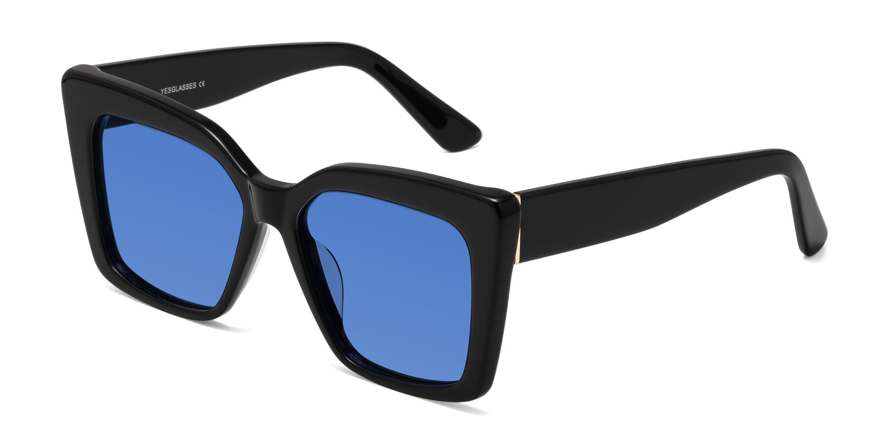 Angle of Hagen in Black with Blue Tinted Lenses