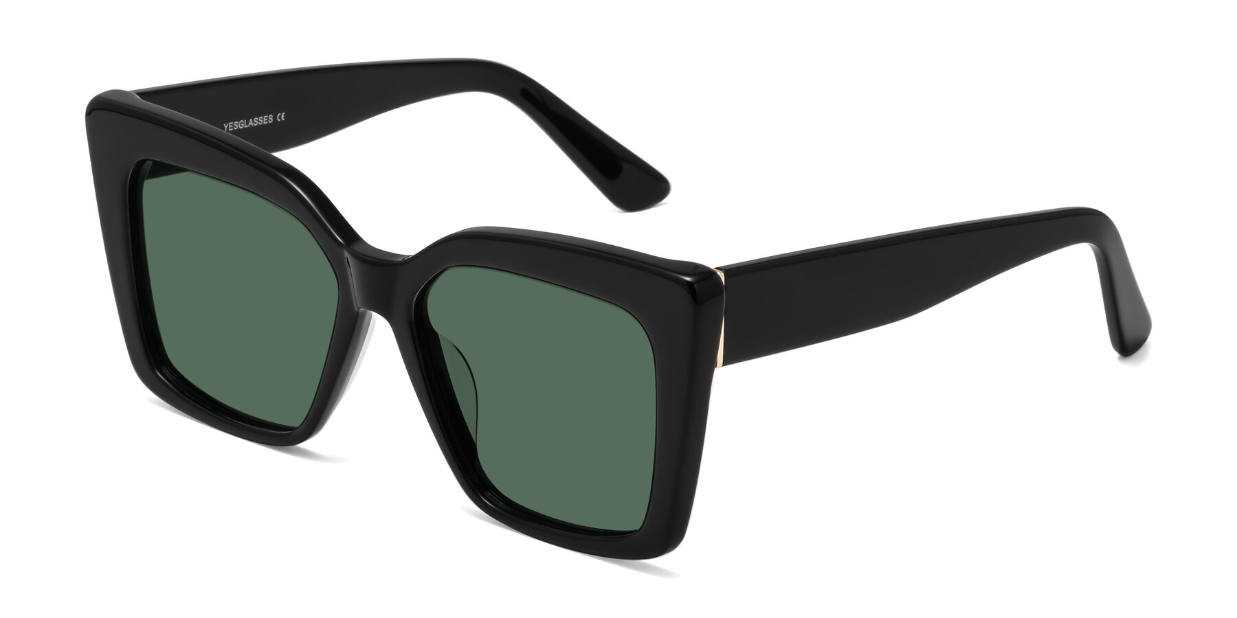 Angle of Hagen in Black with Green Polarized Lenses