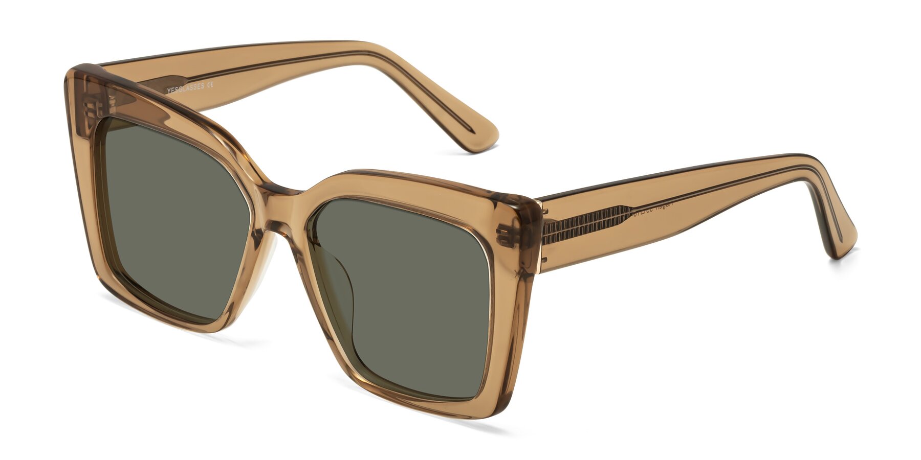 Angle of Hagen in Translucent Brown with Gray Polarized Lenses